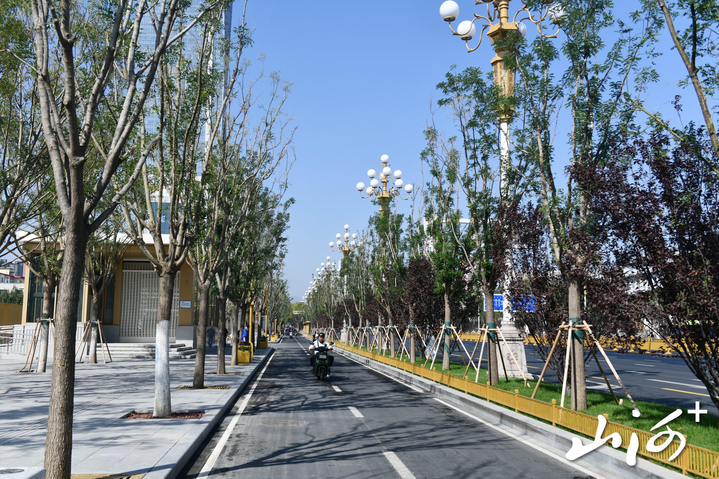 ZQD_7209