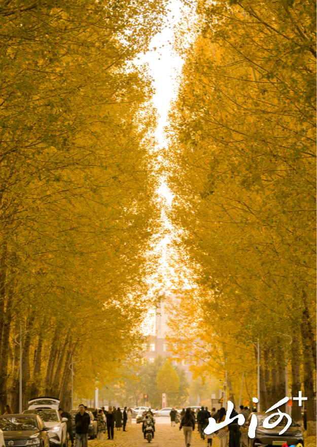 微信图片_20251106155318_516_137