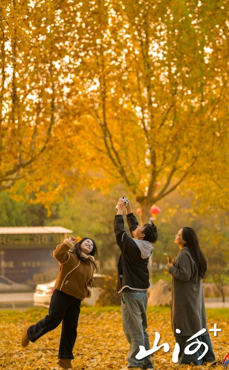 微信图片_20251106155321_518_137