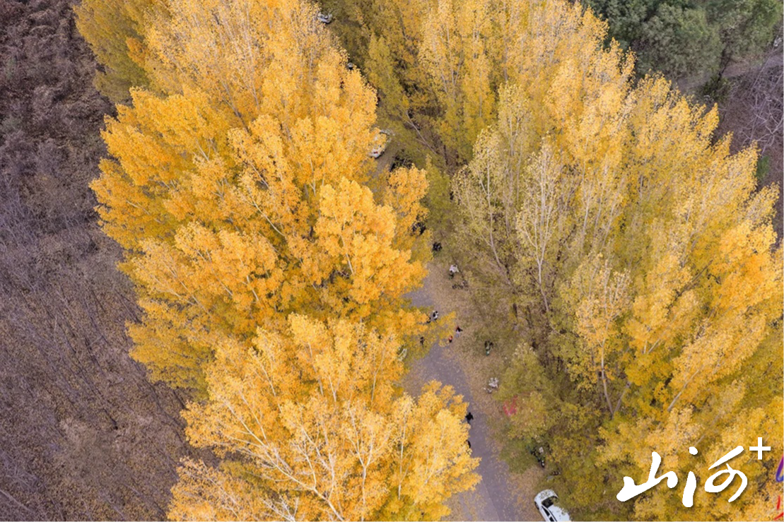 微信图片_20251106155319_517_137