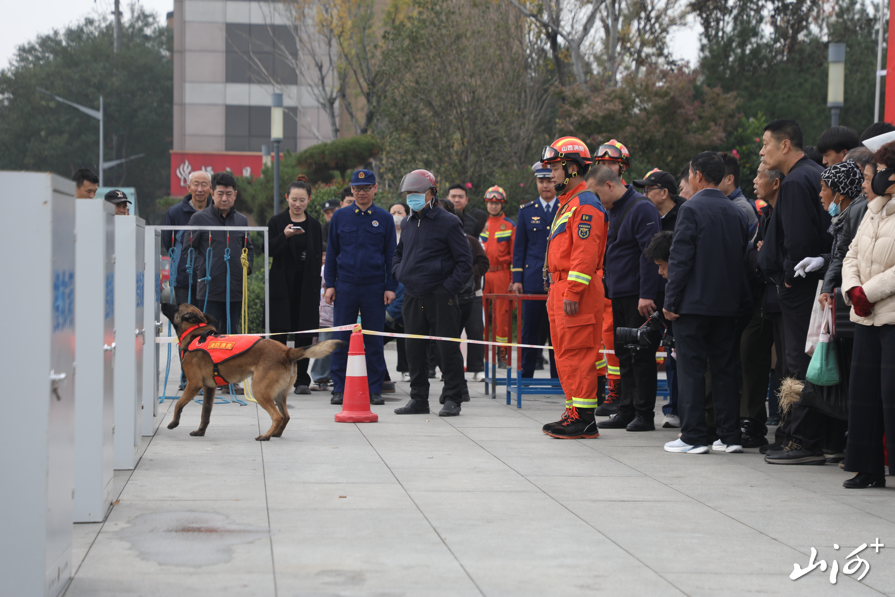 消防搜救犬展示 (2)
