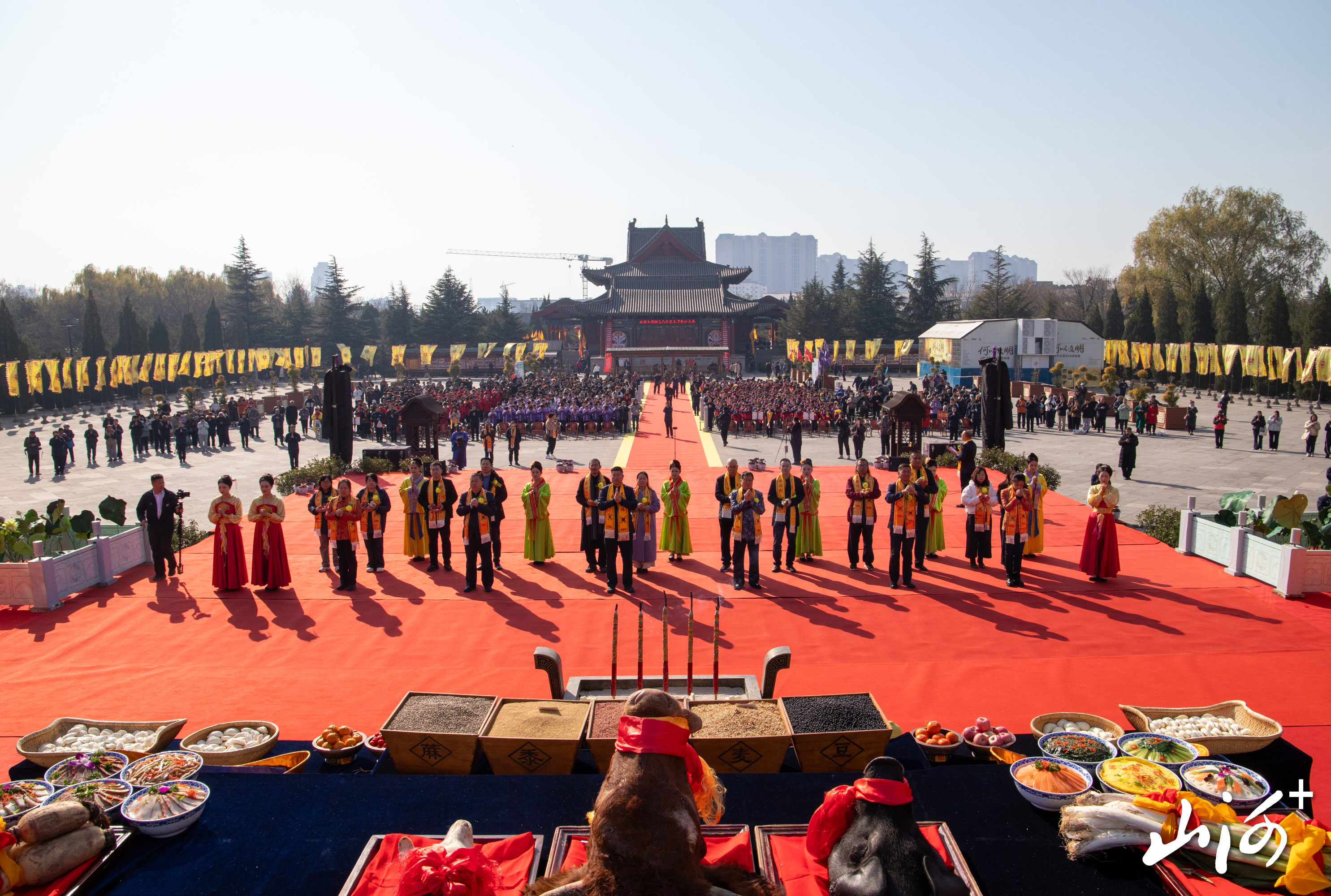 1763628517985016293.jpg 1763628517985016293.jpg