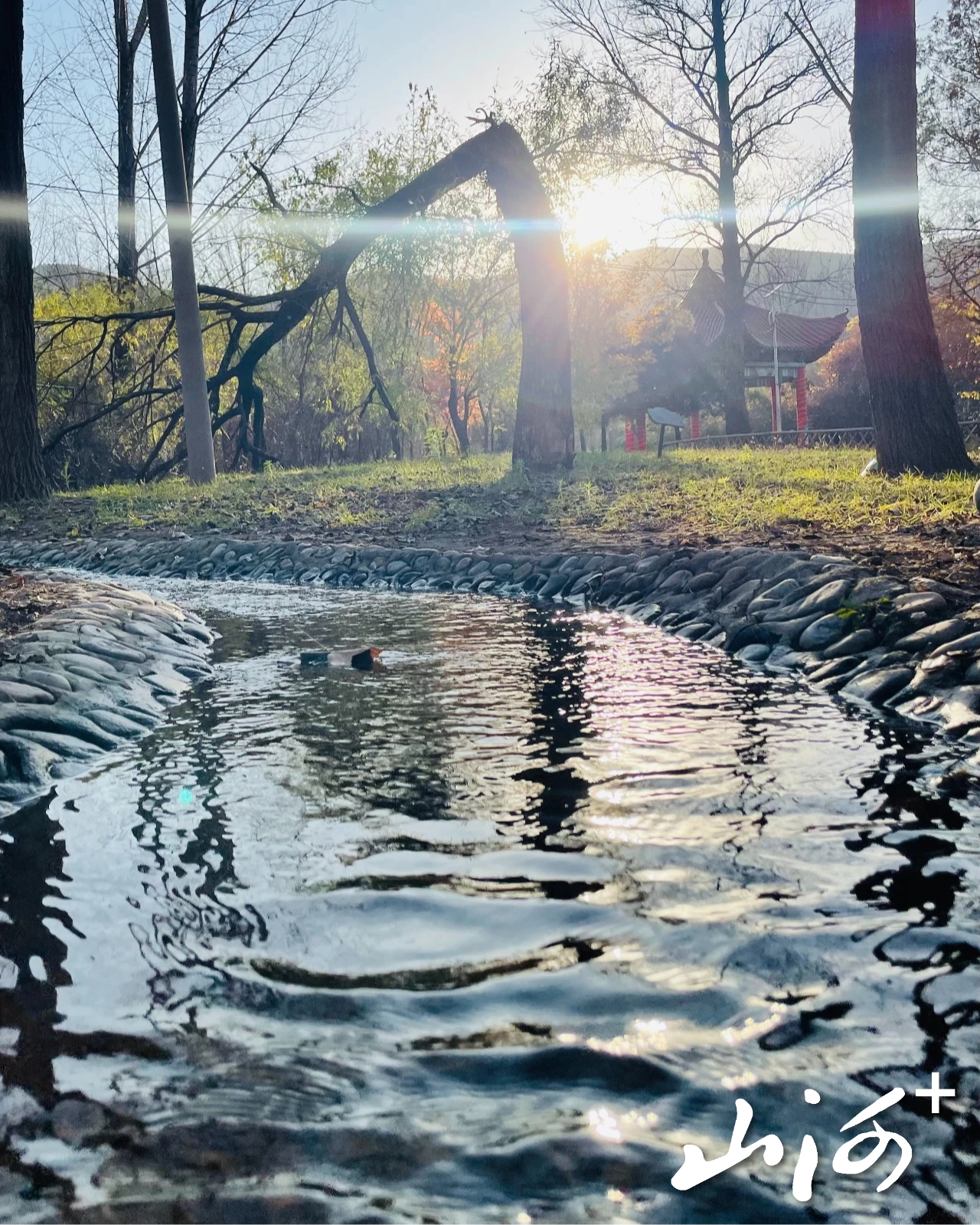 微信图片_20251124171356_721_137 微信图片_20251124171356_721_137