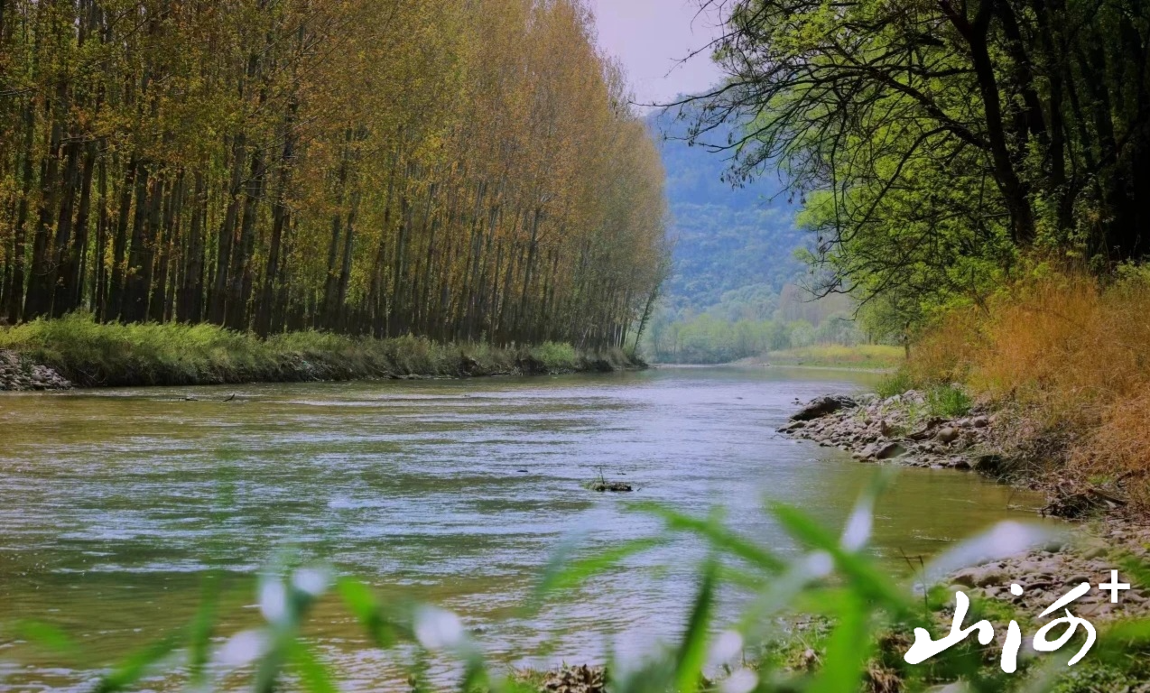 微信图片_20251124171357_722_137 微信图片_20251124171357_722_137