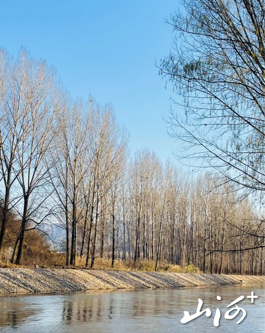 微信图片_20251124171354_719_137 微信图片_20251124171354_719_137