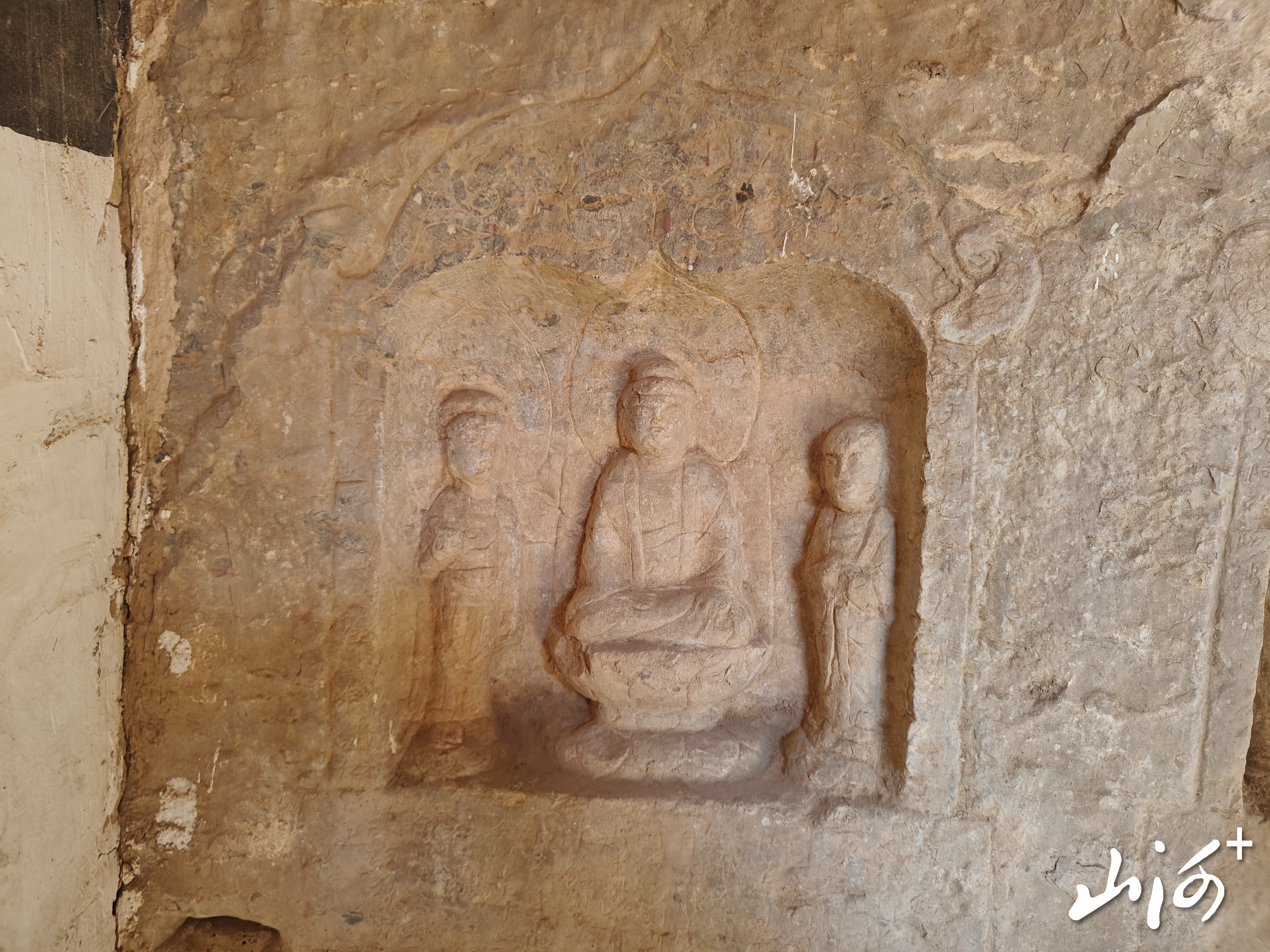 IMG20250320090442 IMG20250320090442