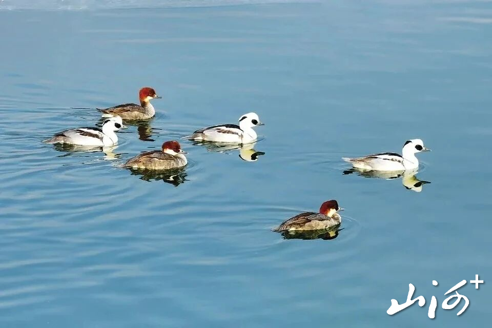 微信图片_2025-12-16_102016_304