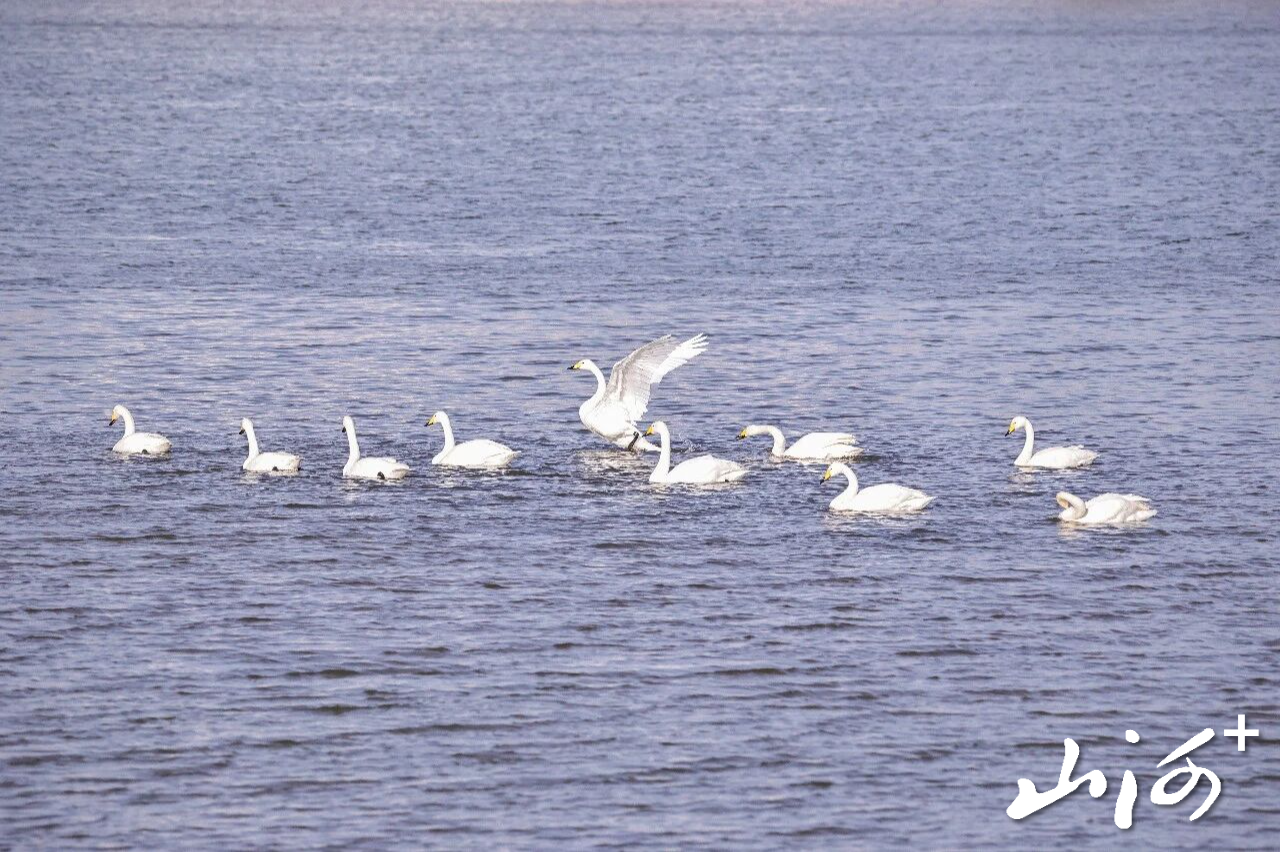 微信图片_2025-12-16_102052_439