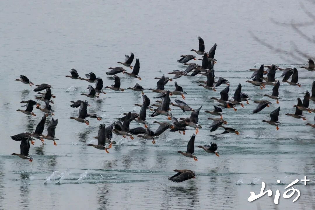 微信图片_2025-12-16_102029_045