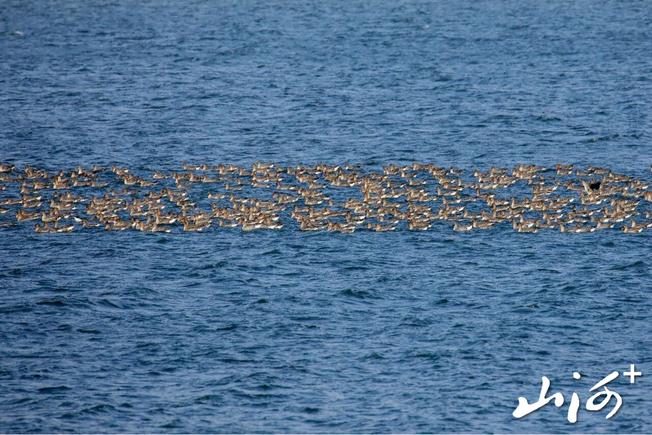 微信图片_2025-12-16_102059_094