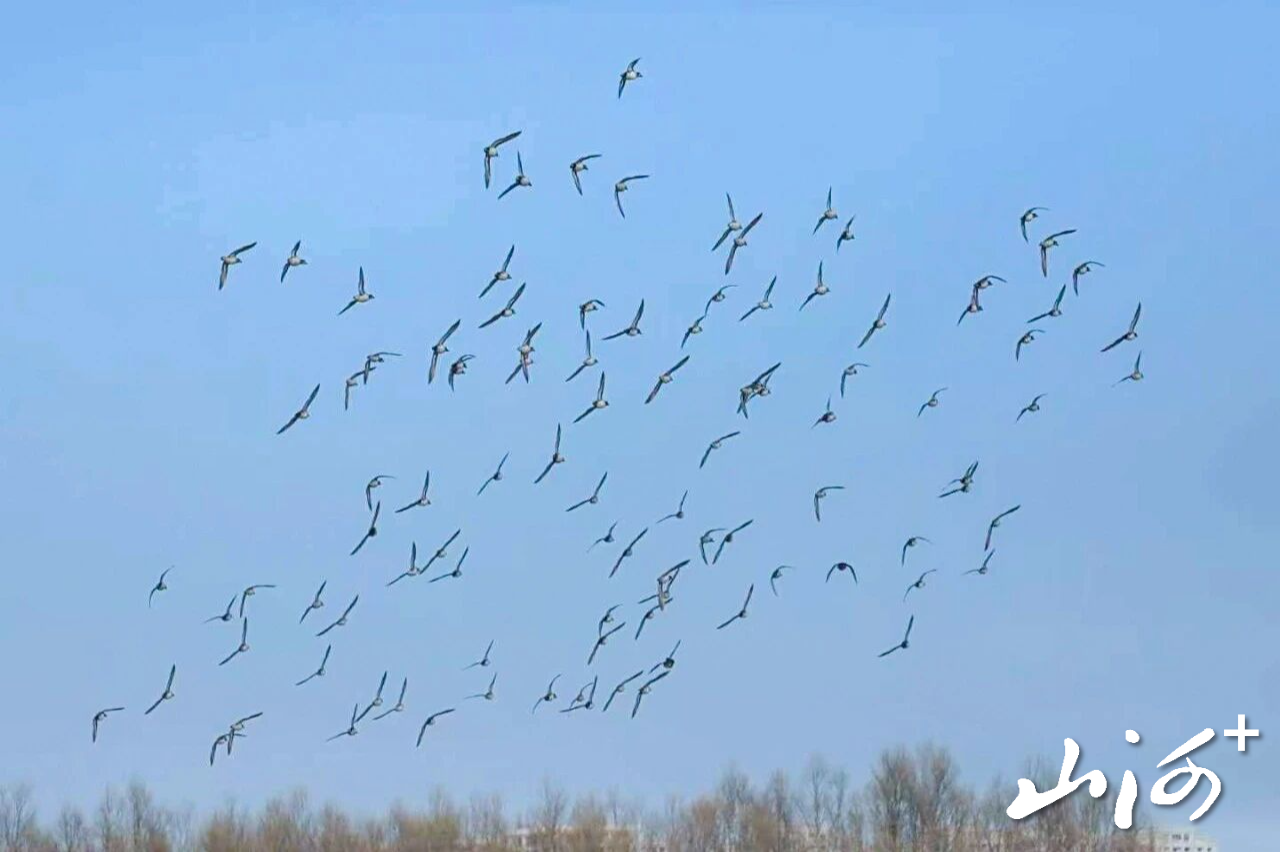 微信图片_2025-12-16_102043_334