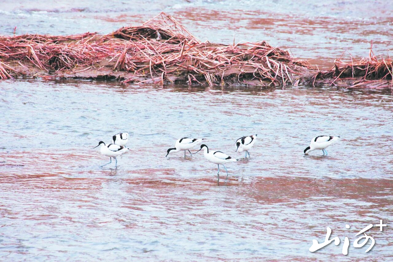 微信图片_2025-12-16_102035_101