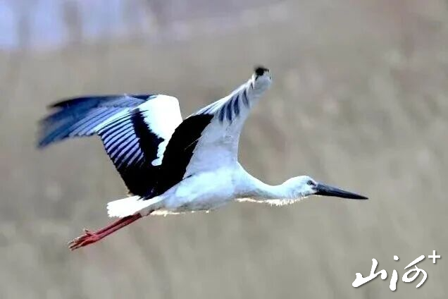 微信图片_2025-12-16_102022_956