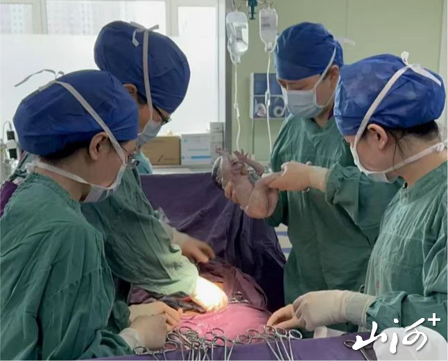 微信图片_20251222165903_1234_137