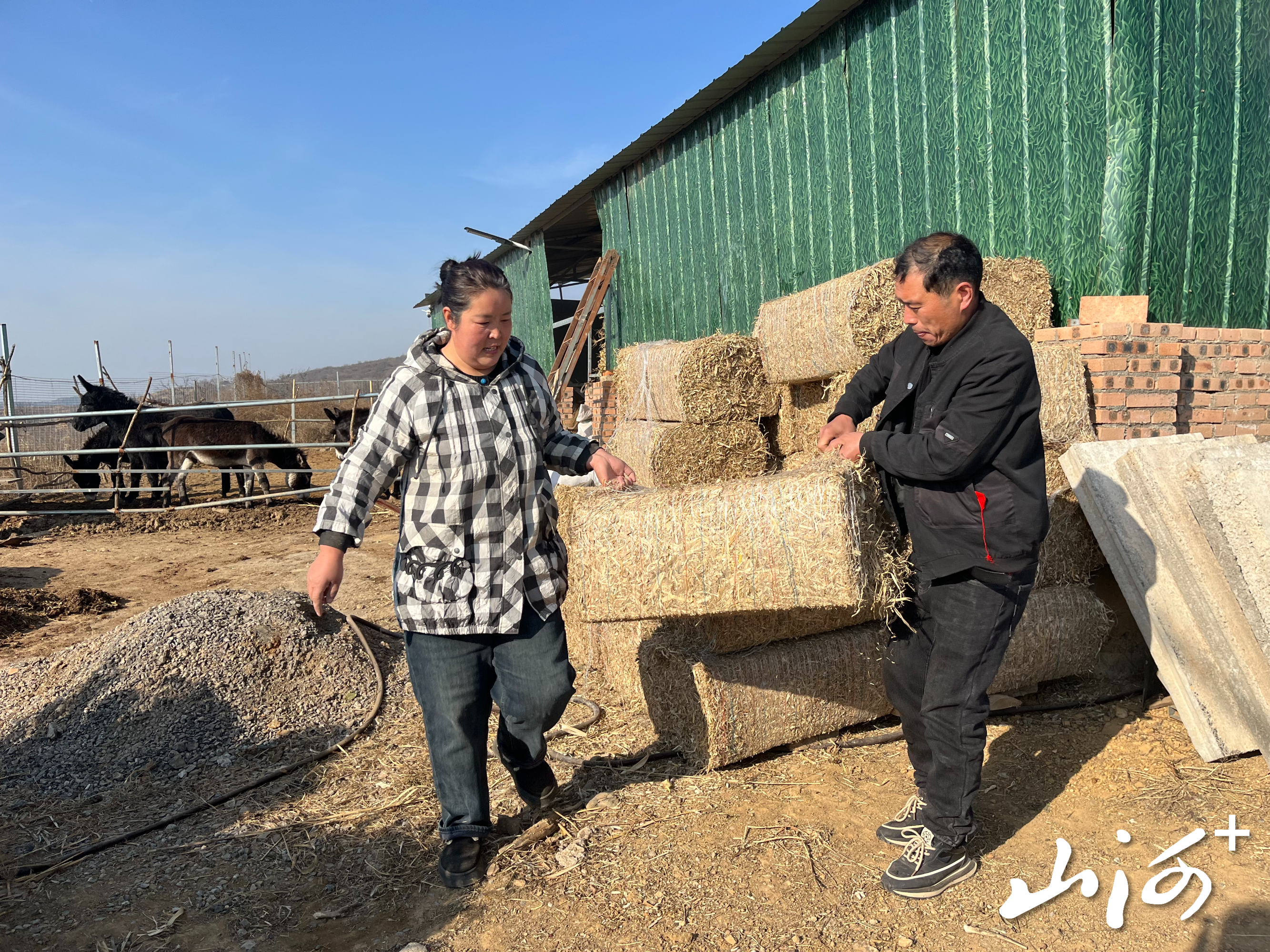 微信图片_20251225153356_1292_137