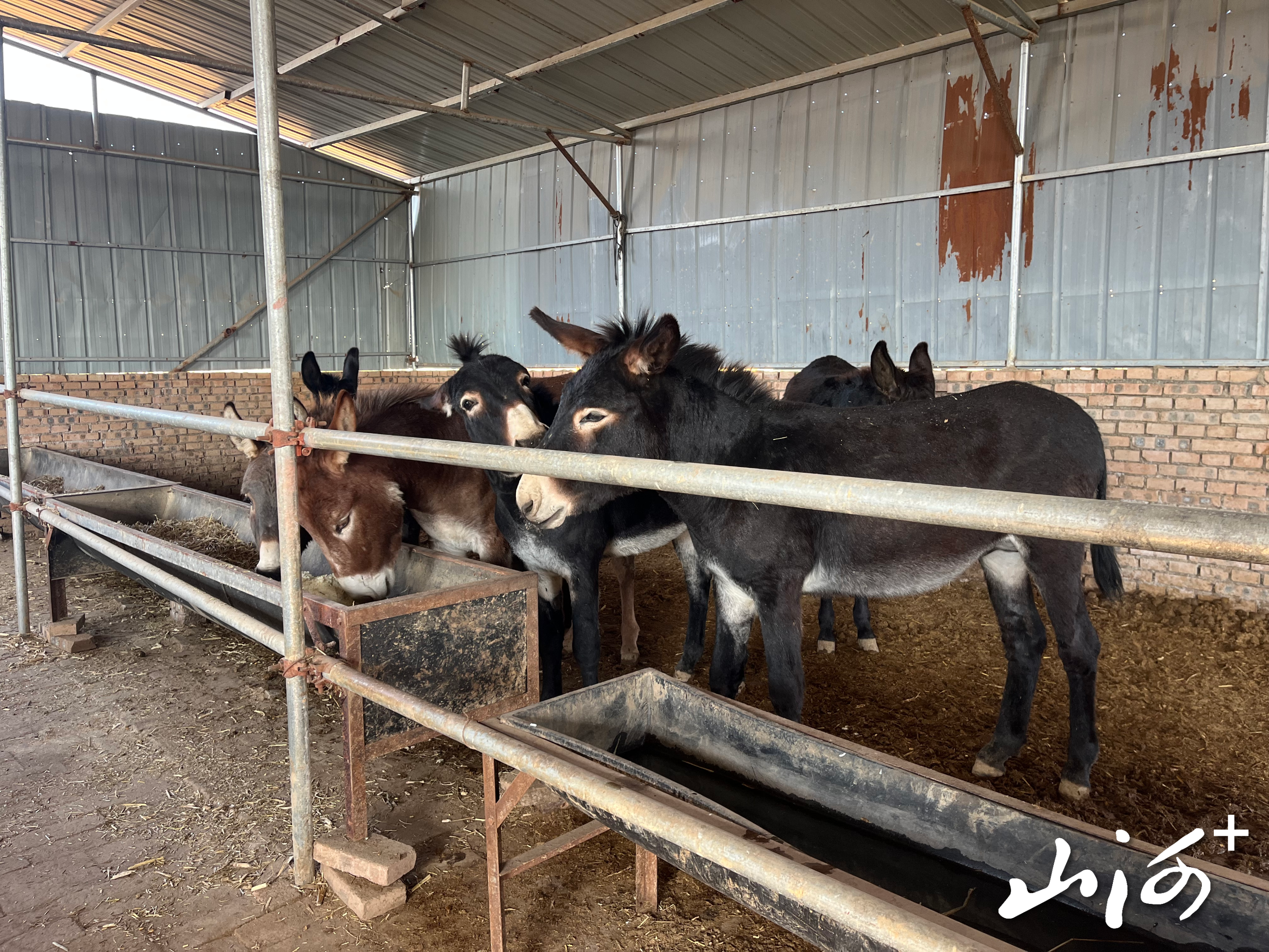 微信图片_20251225153340_1291_137