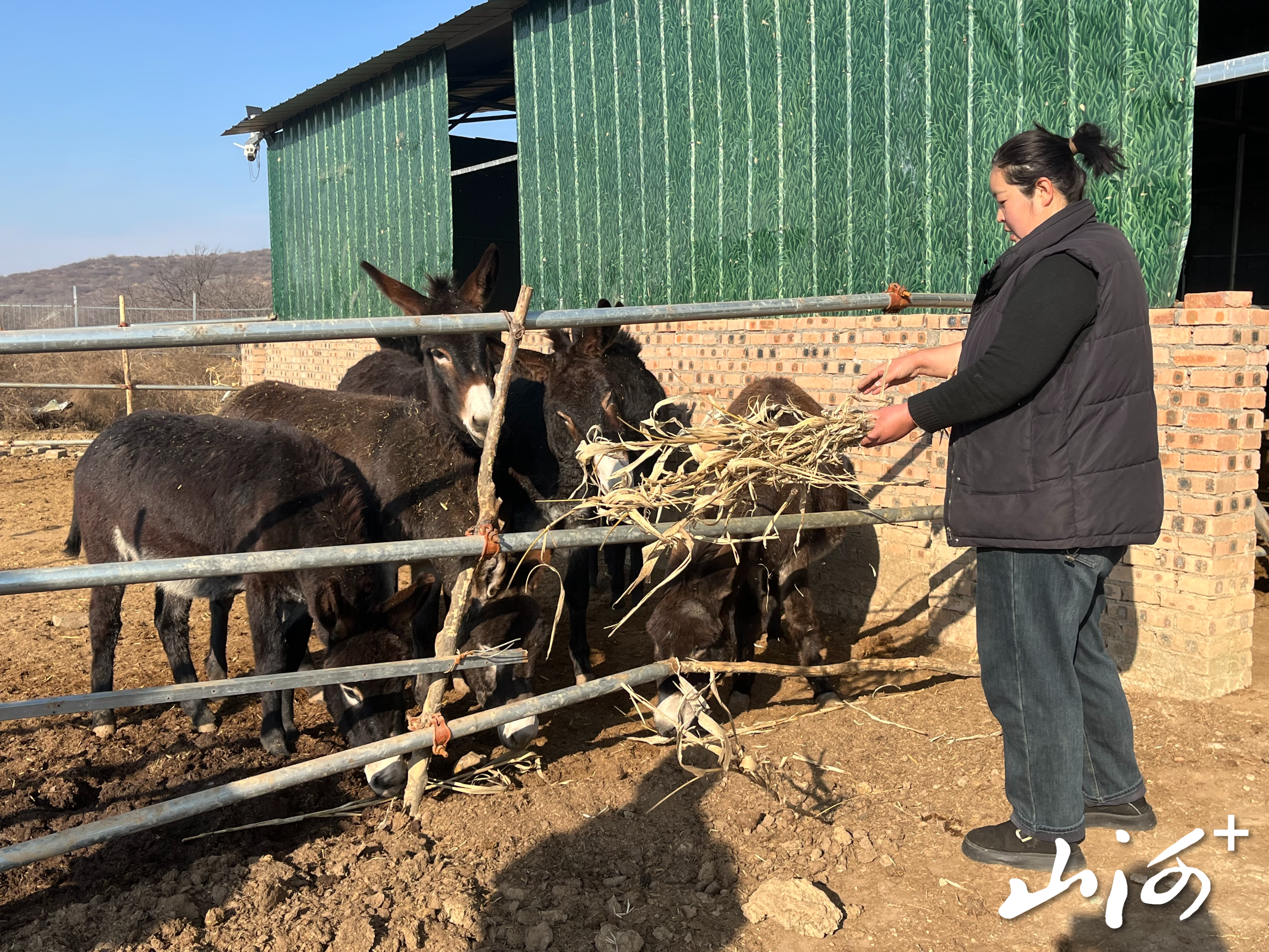 微信图片_20251225153328_1290_137