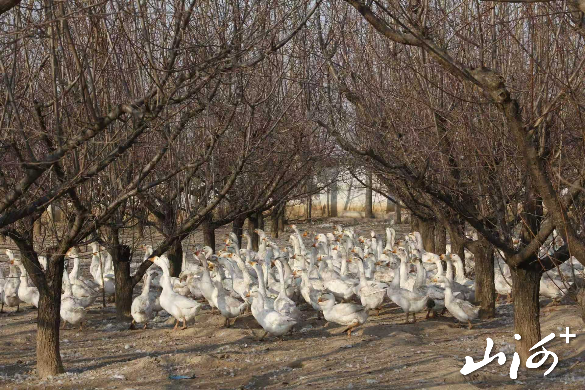 微信图片_20251224150109_153_119