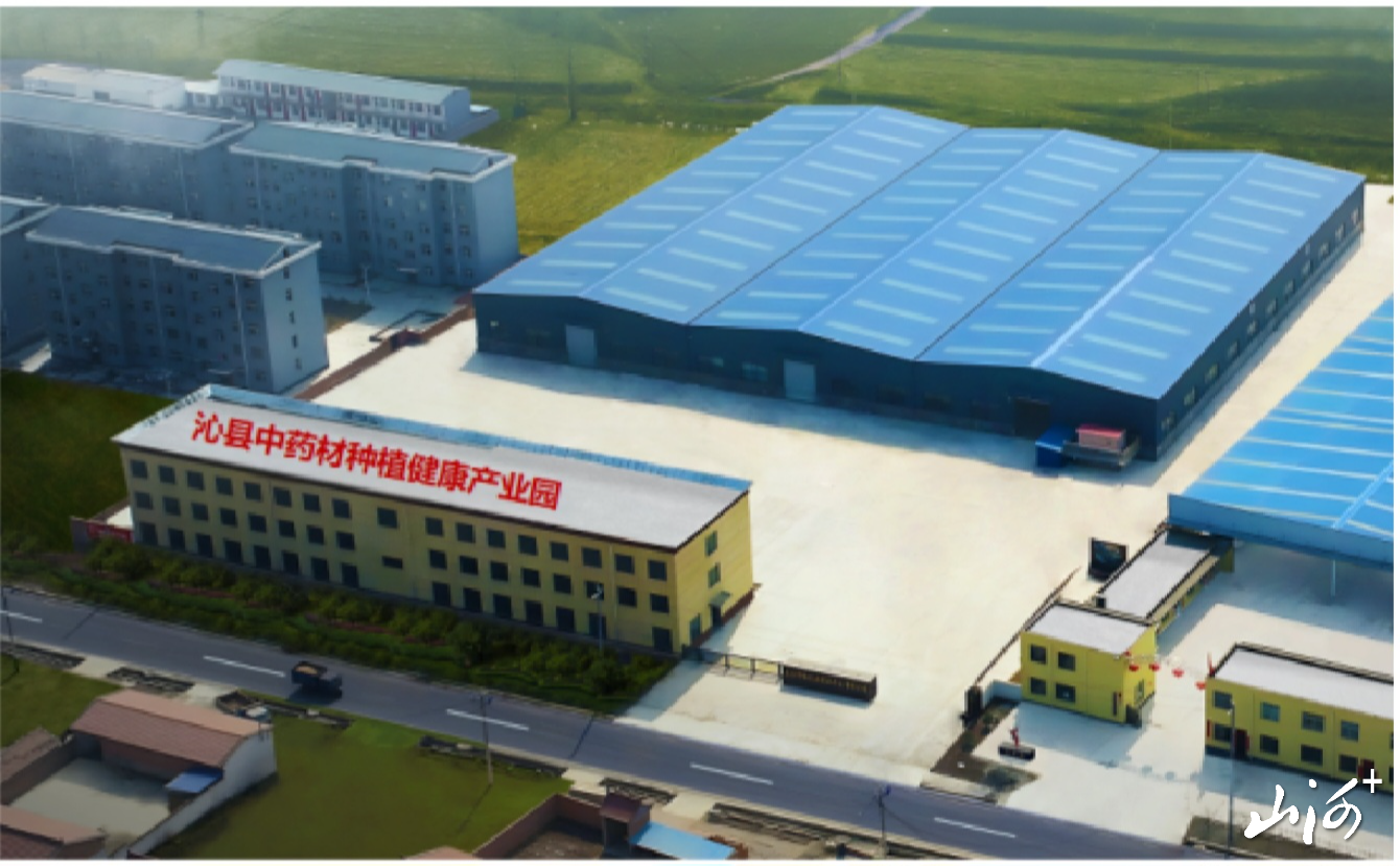 微信图片_20260106160533_1431_137 微信图片_20260106160533_1431_137