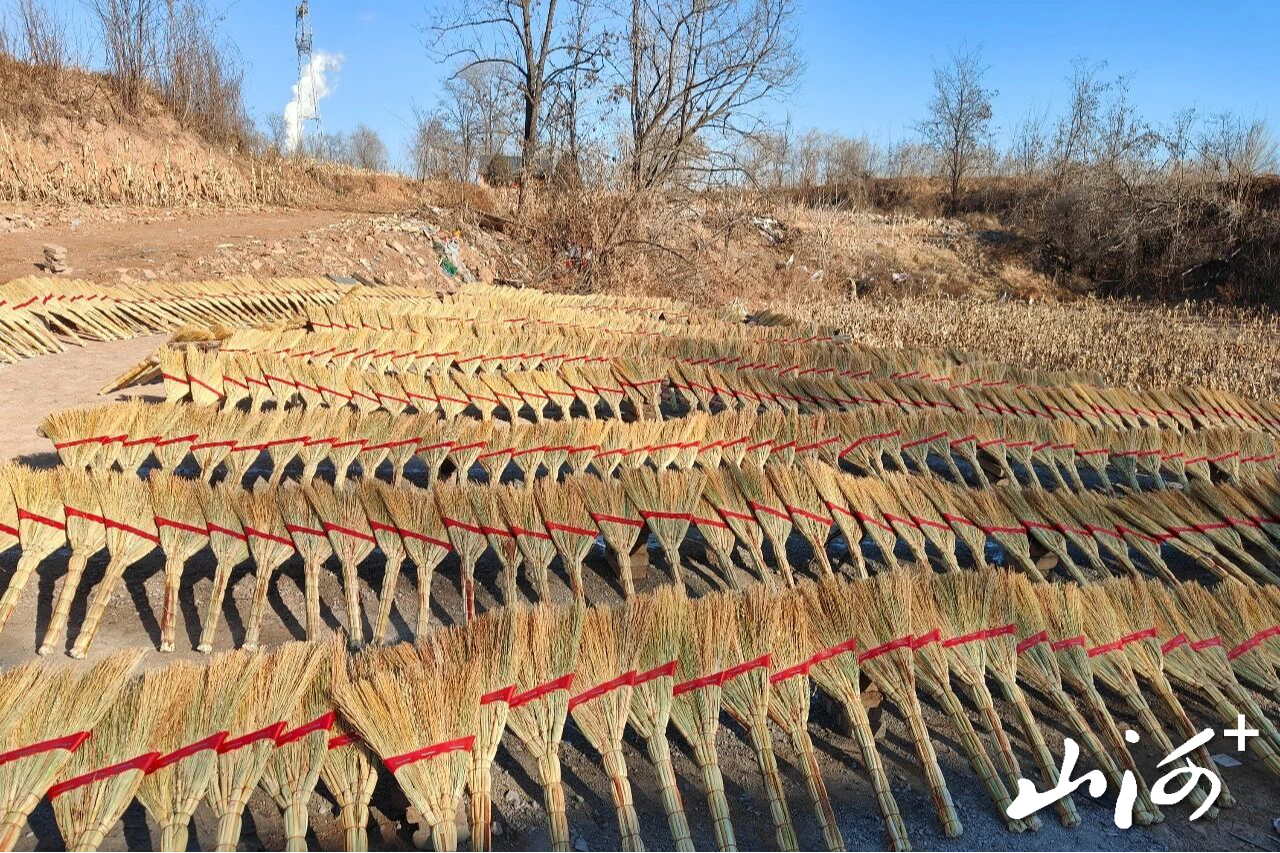 微信图片_2026-01-11_152800_213