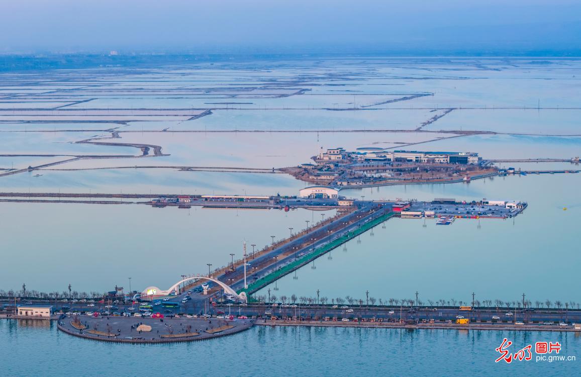 盐湖生态焕新颜