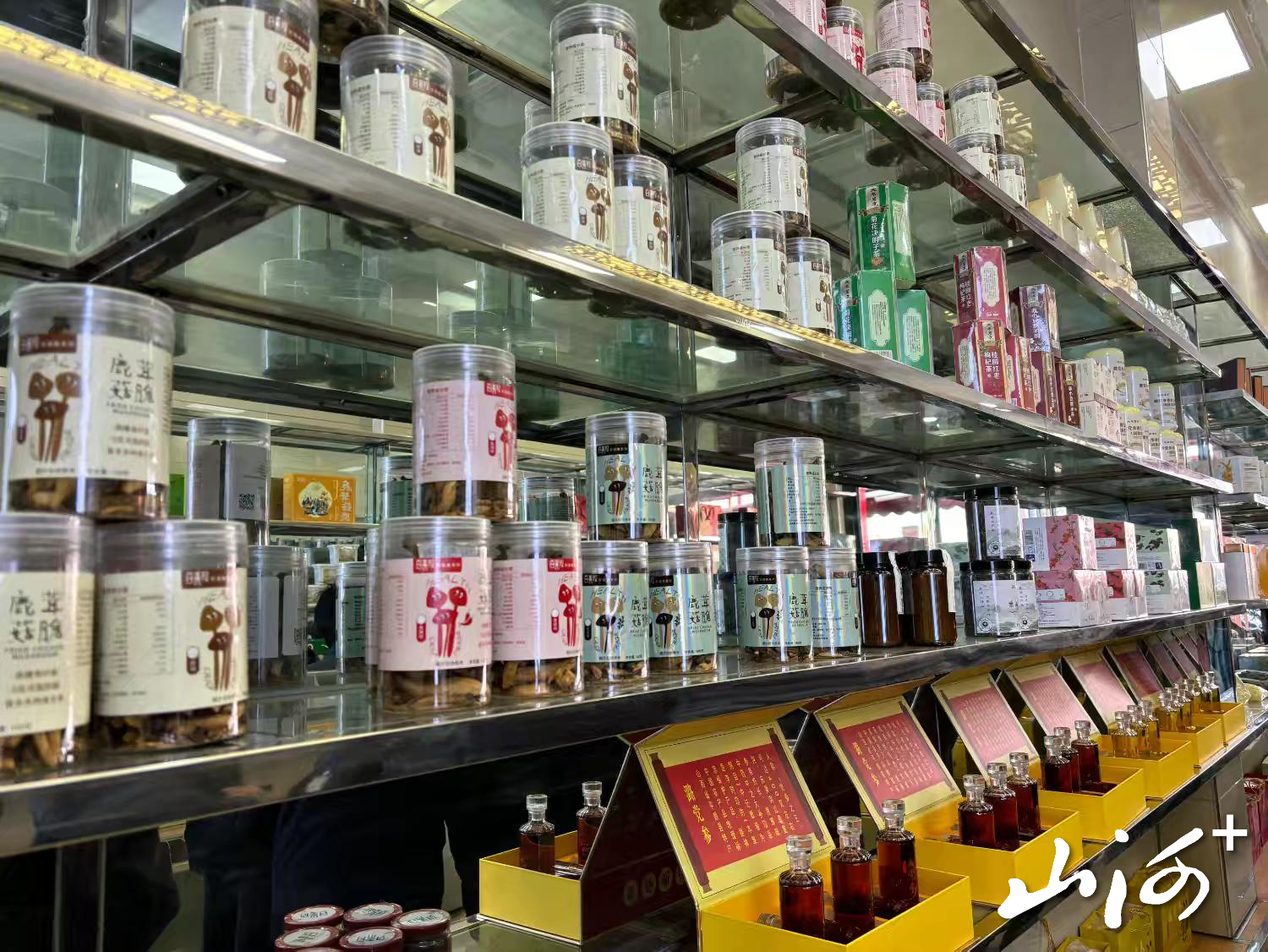 微信图片_20260113093424_1492_137