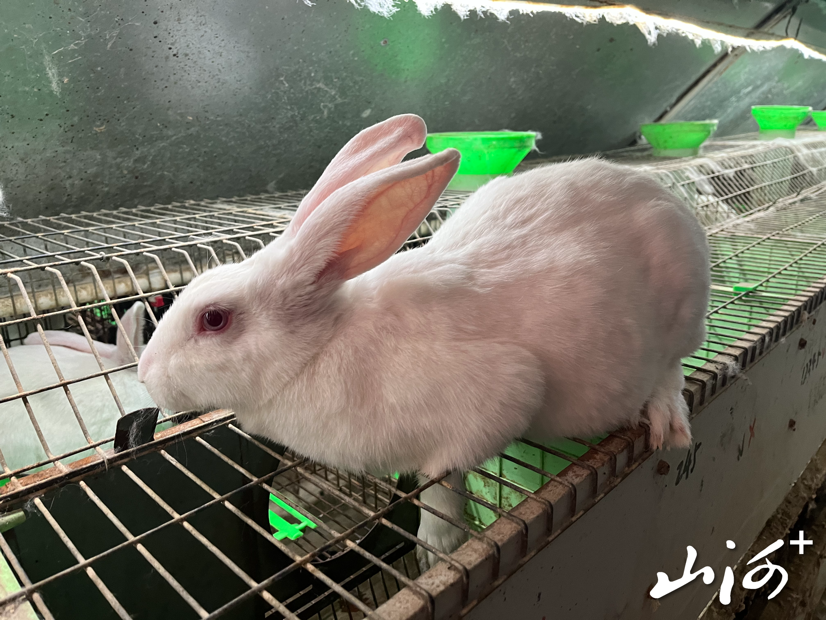 微信图片_20260113103630_1497_137