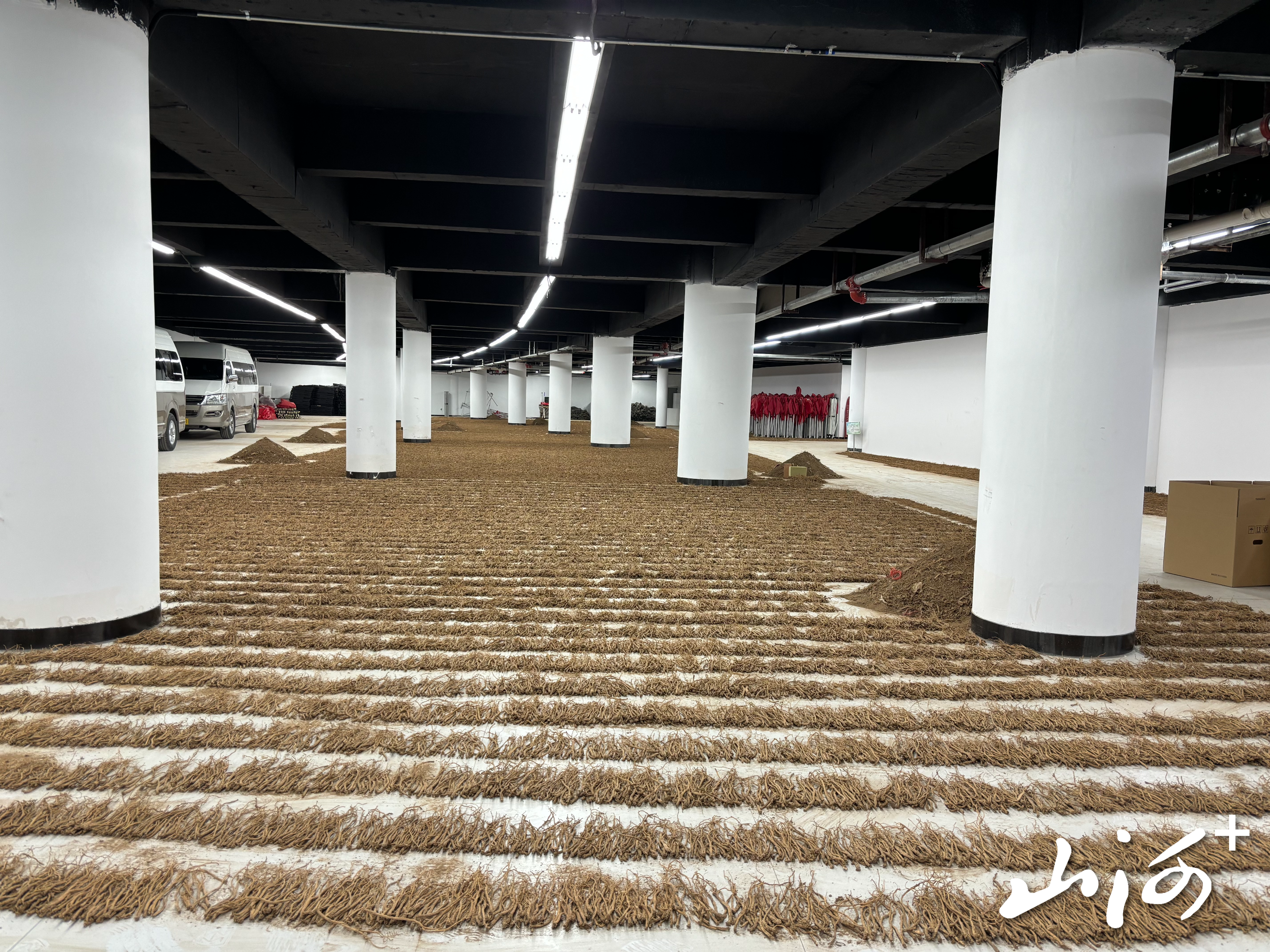 微信图片_20260113093432_1494_137