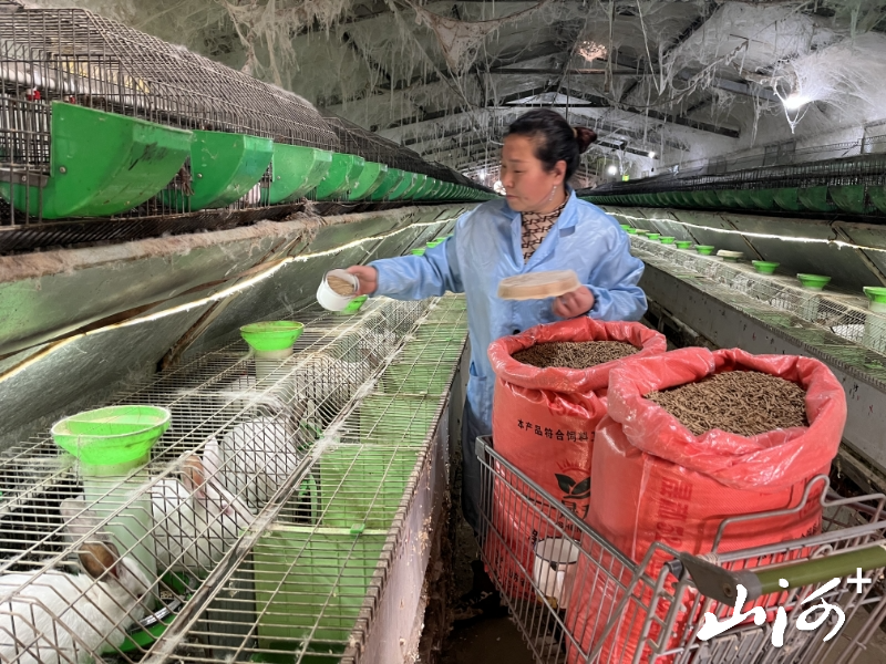 微信图片_20260113103614_1496_137