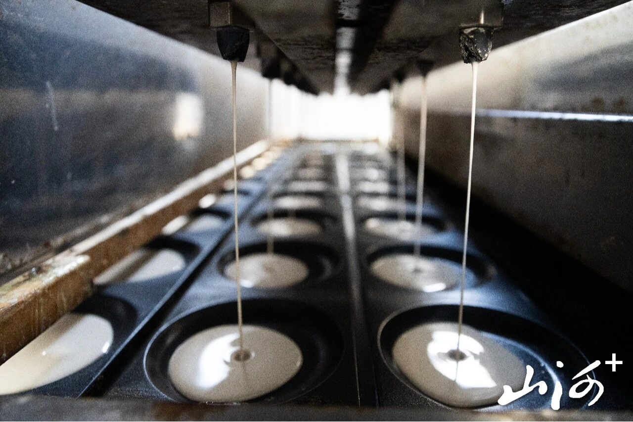 微信图片_2026-01-14_154333_504