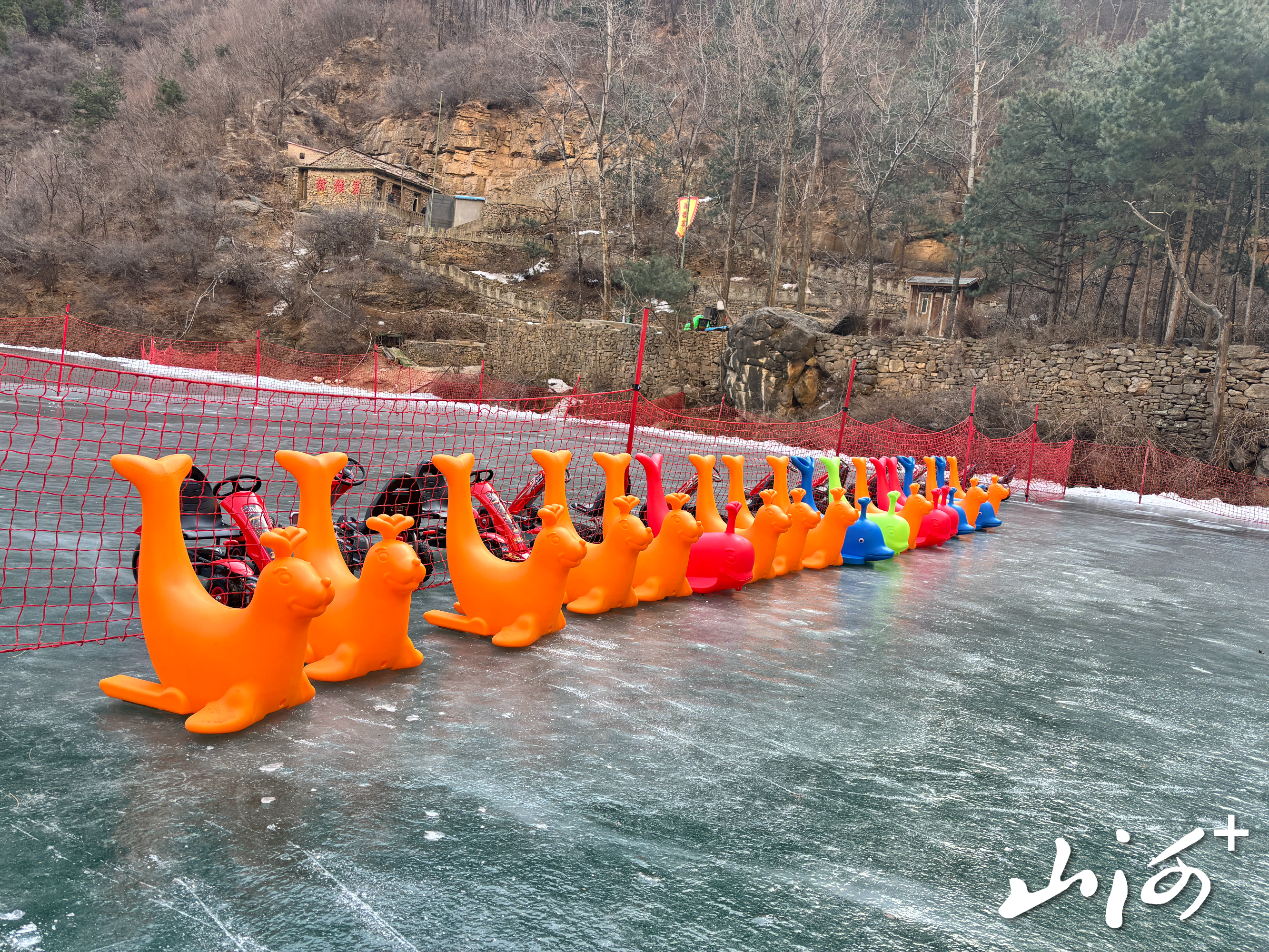 微信图片_20260114153219_1506_137