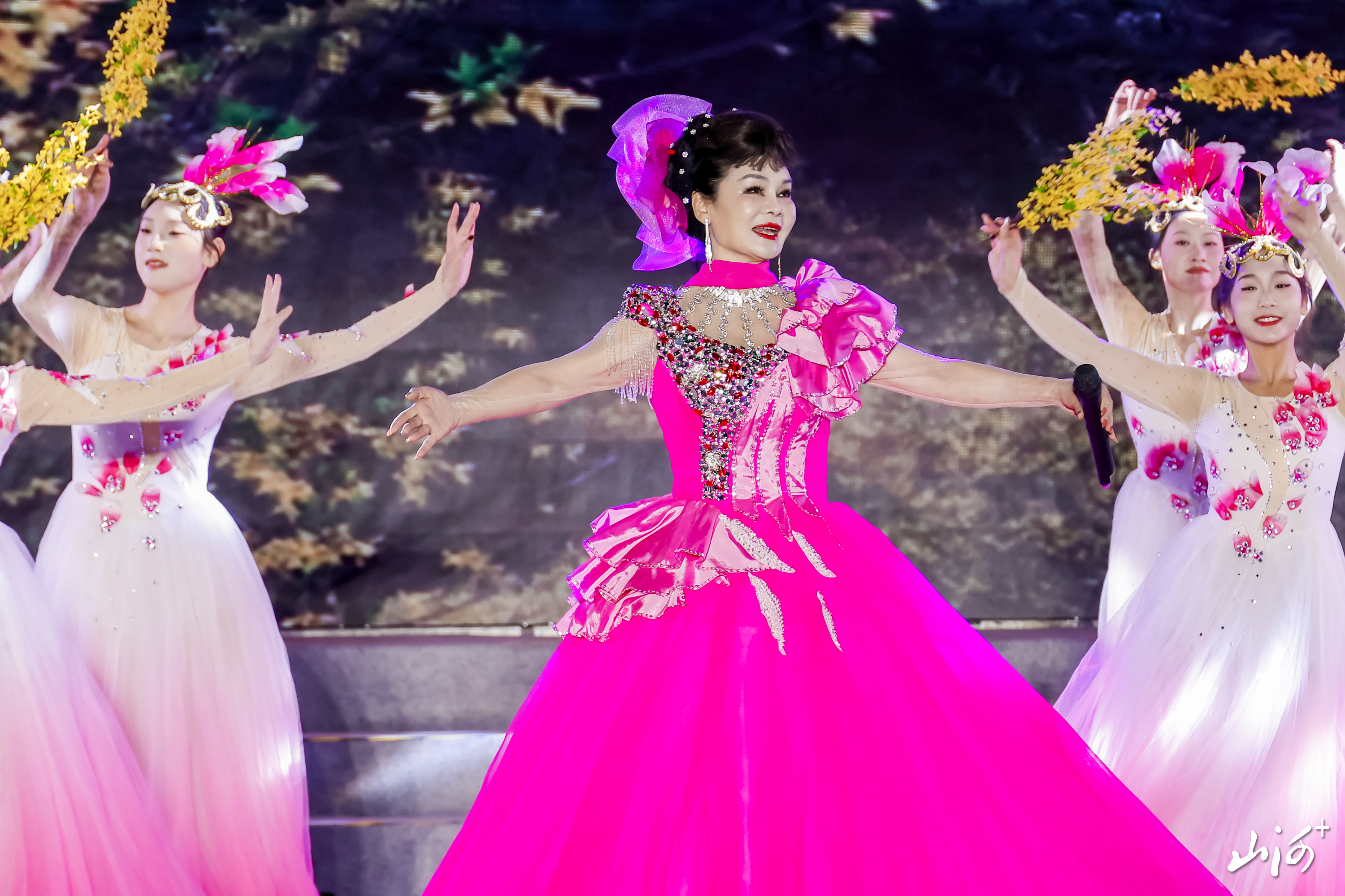 微信图片_20260119100347_534_16