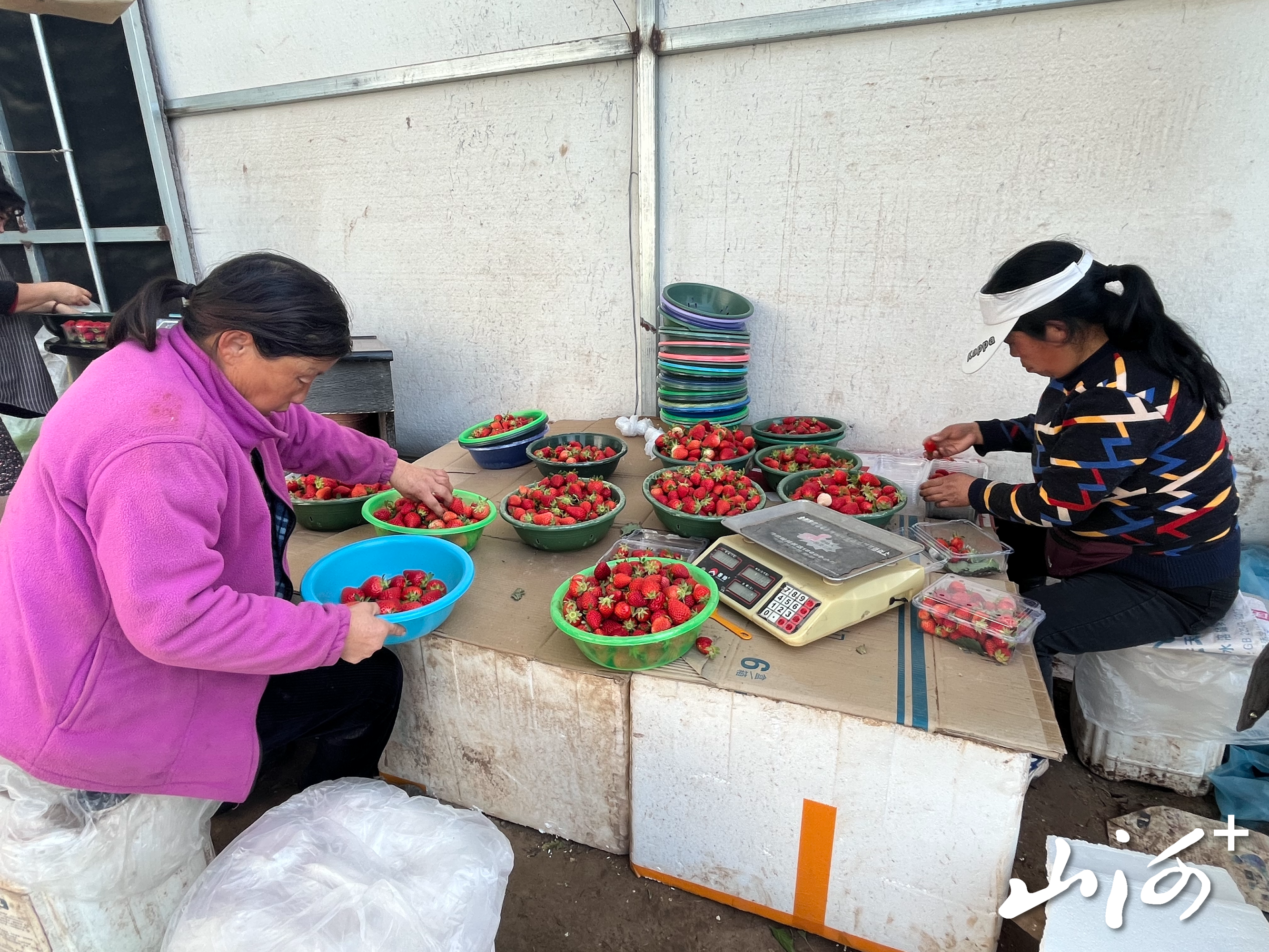 微信图片_20260121153849_1569_137