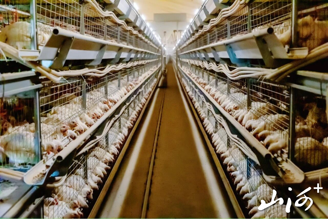 微信图片_2026-01-20_103622_922 微信图片_2026-01-20_103622_922