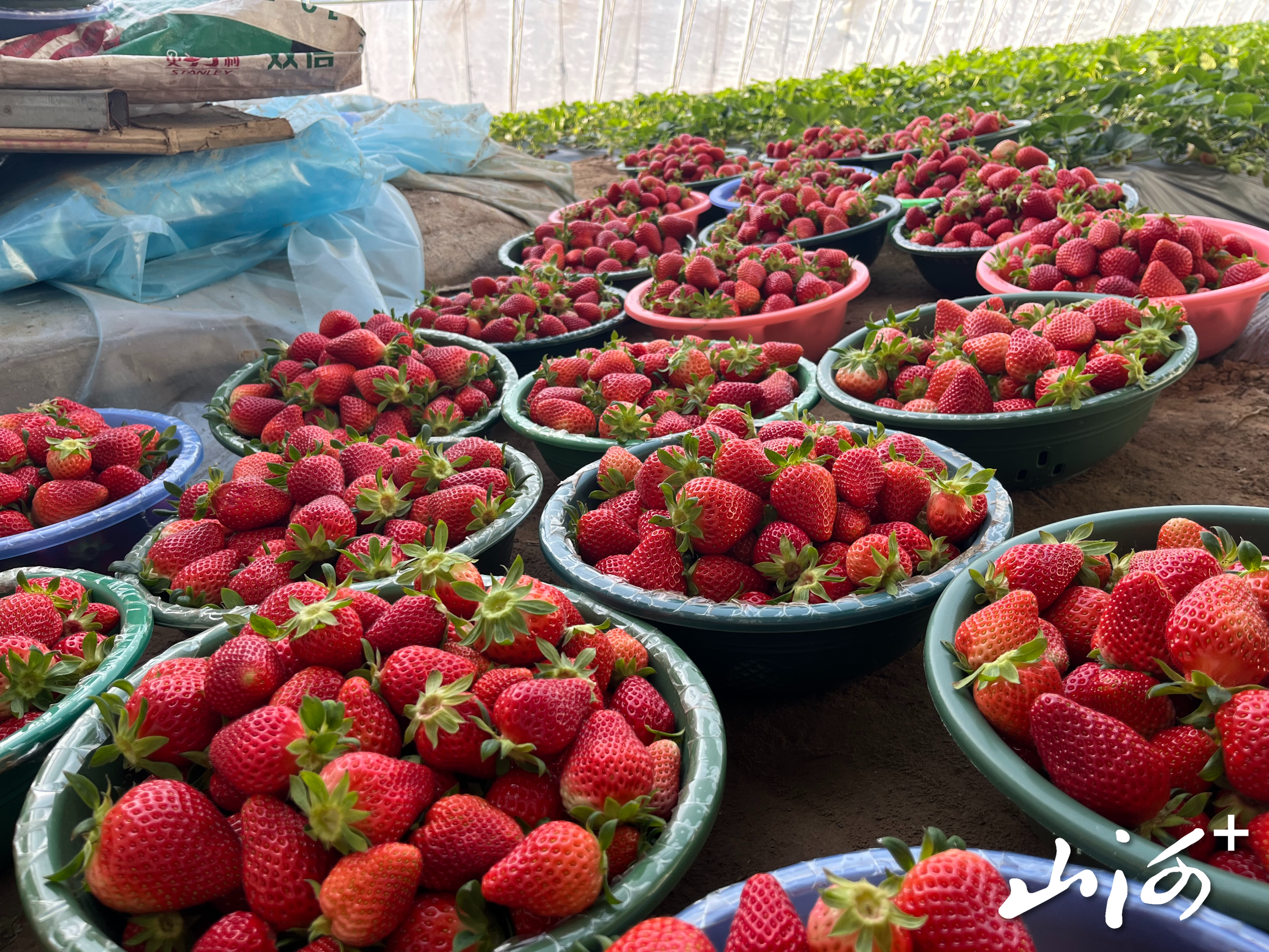 微信图片_20260121153838_1568_137