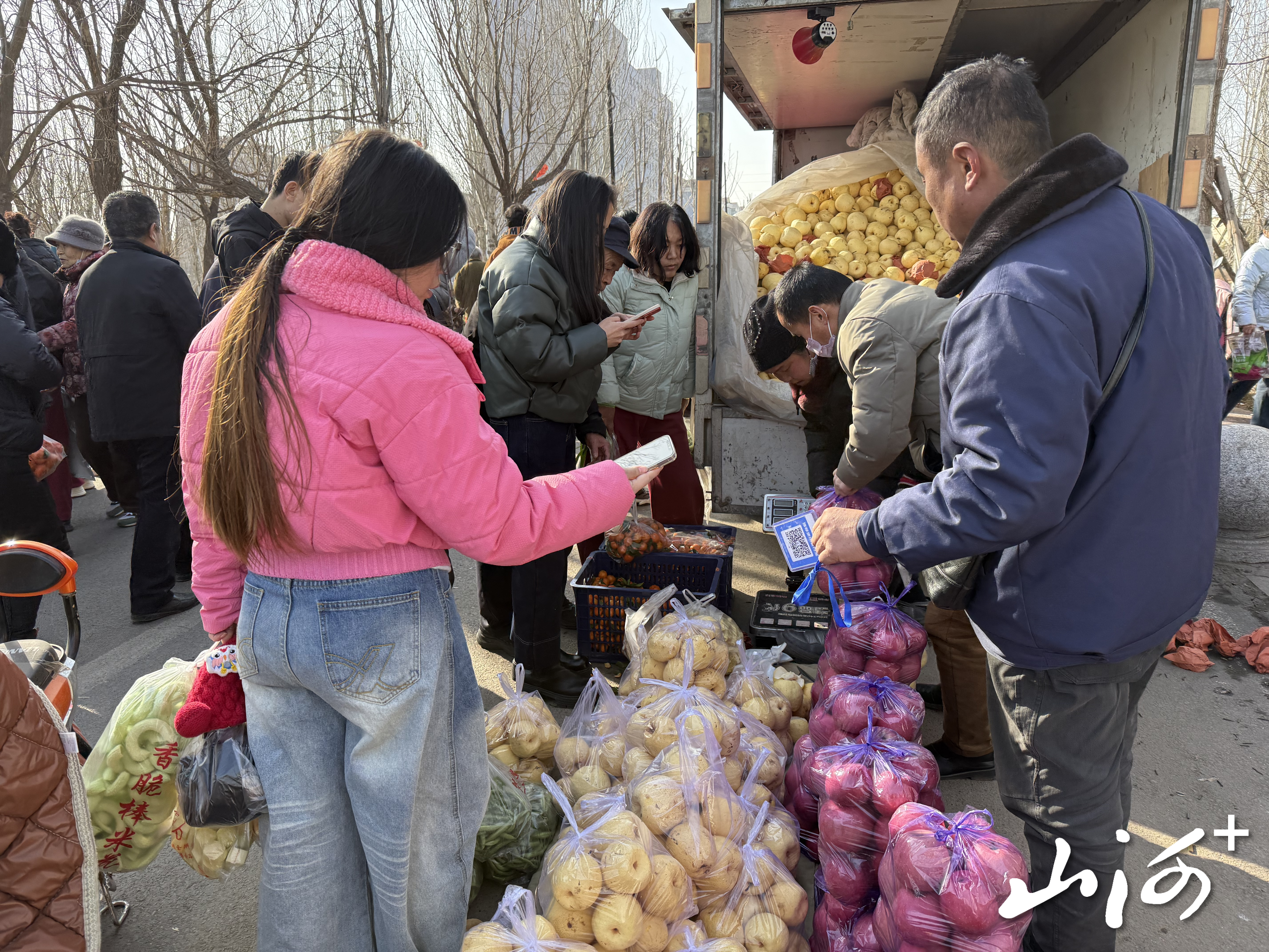 微信图片_20260129111946_1642_137 微信图片_20260129111946_1642_137