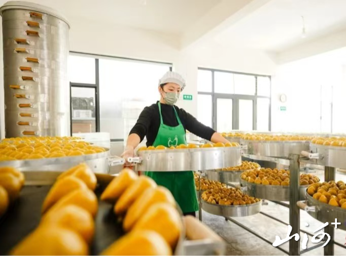 微信图片_20260209153312_1678_137