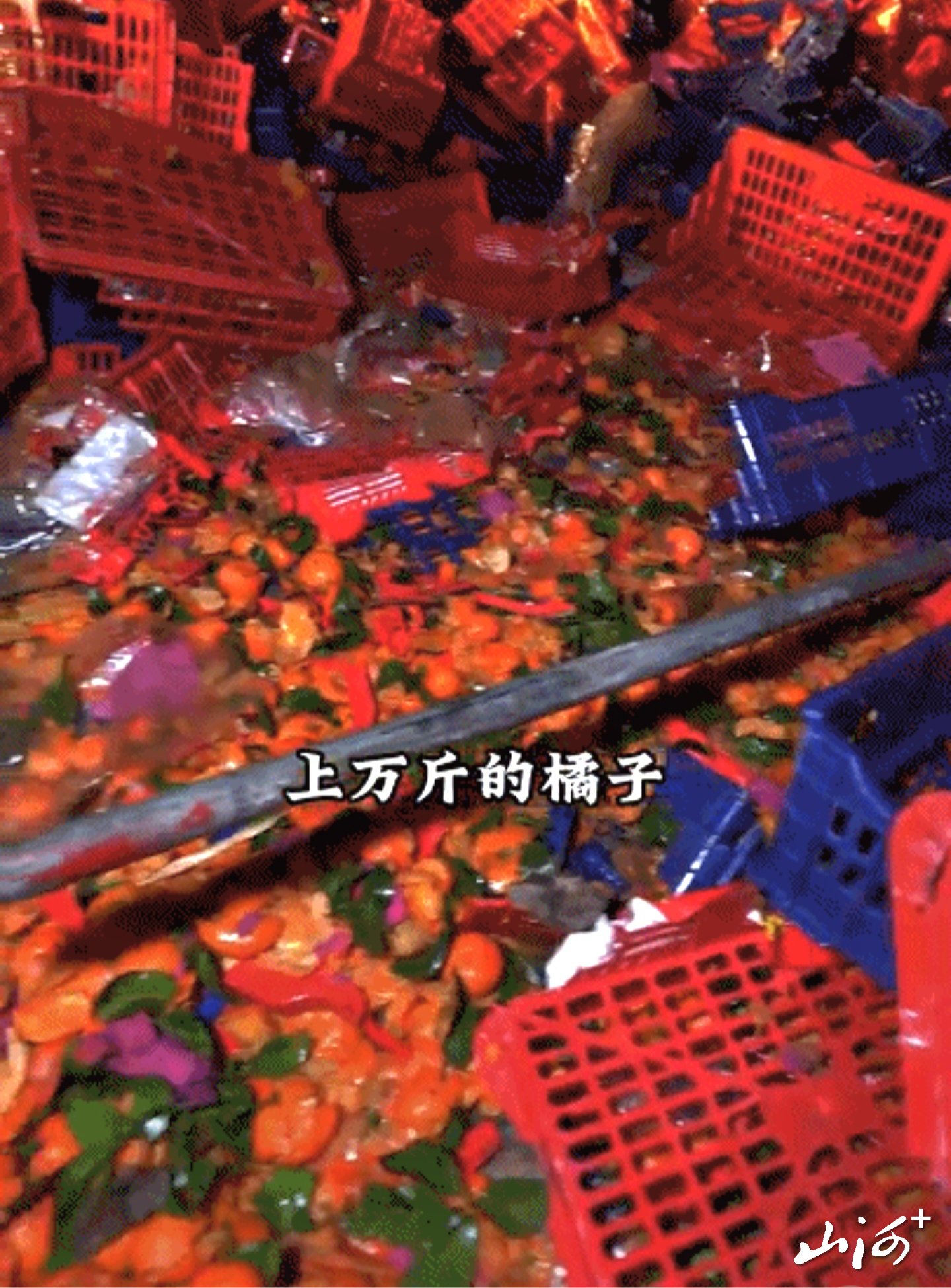 微信图片_20260214171016_483_102