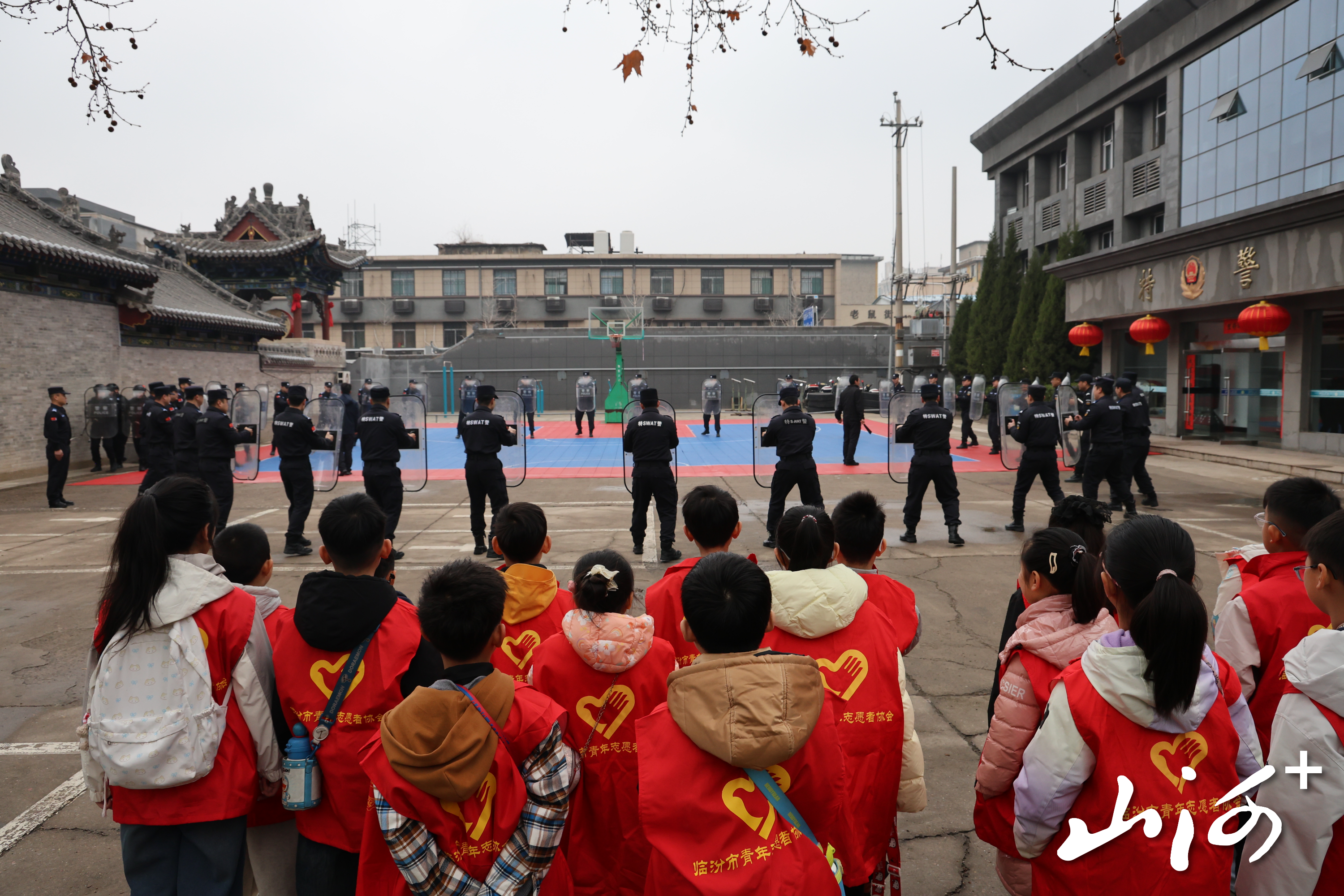 1772612875081069183.jpg 1772612875081069183.jpg