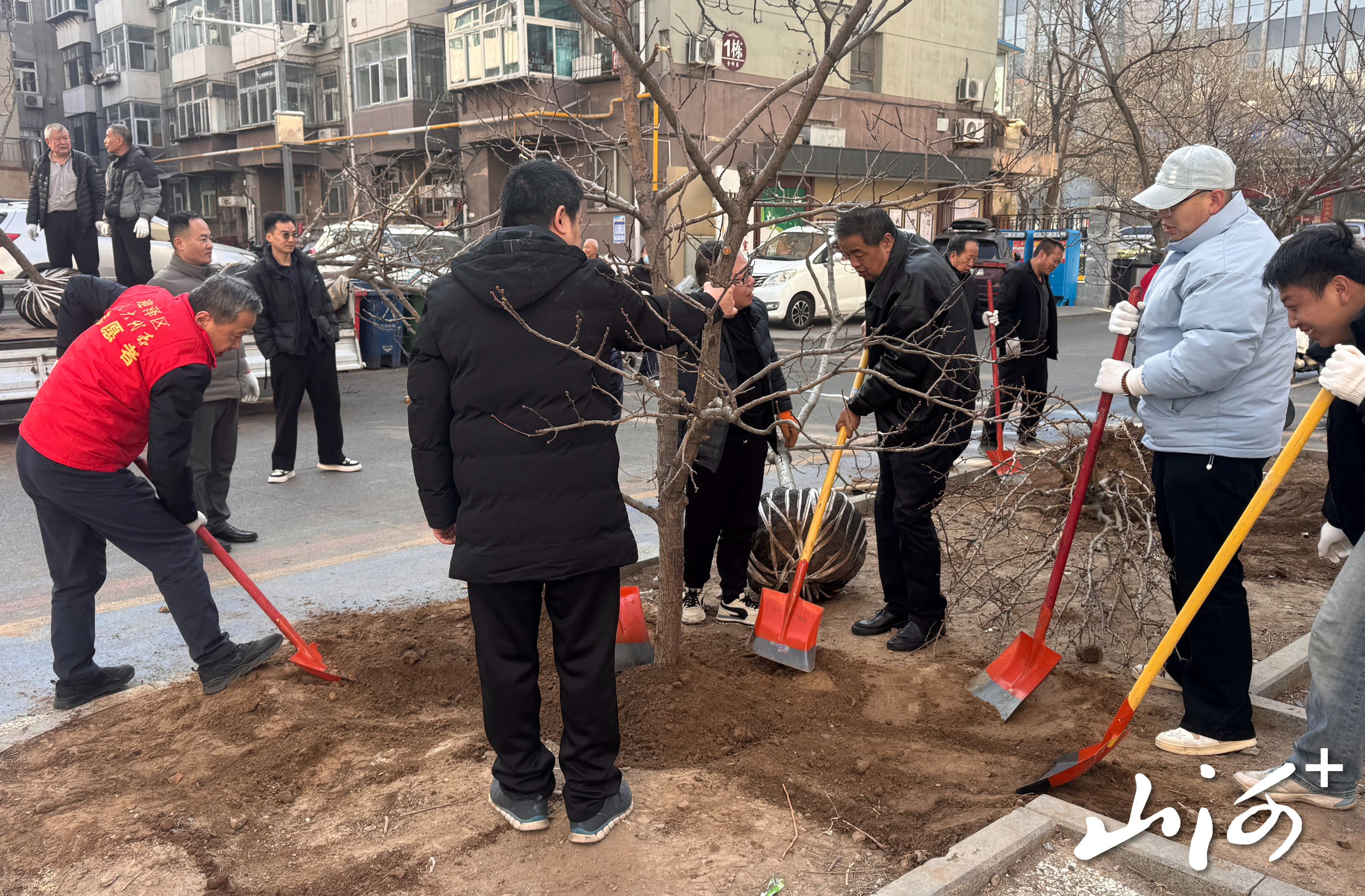 微信图片_20260312164628_119_3