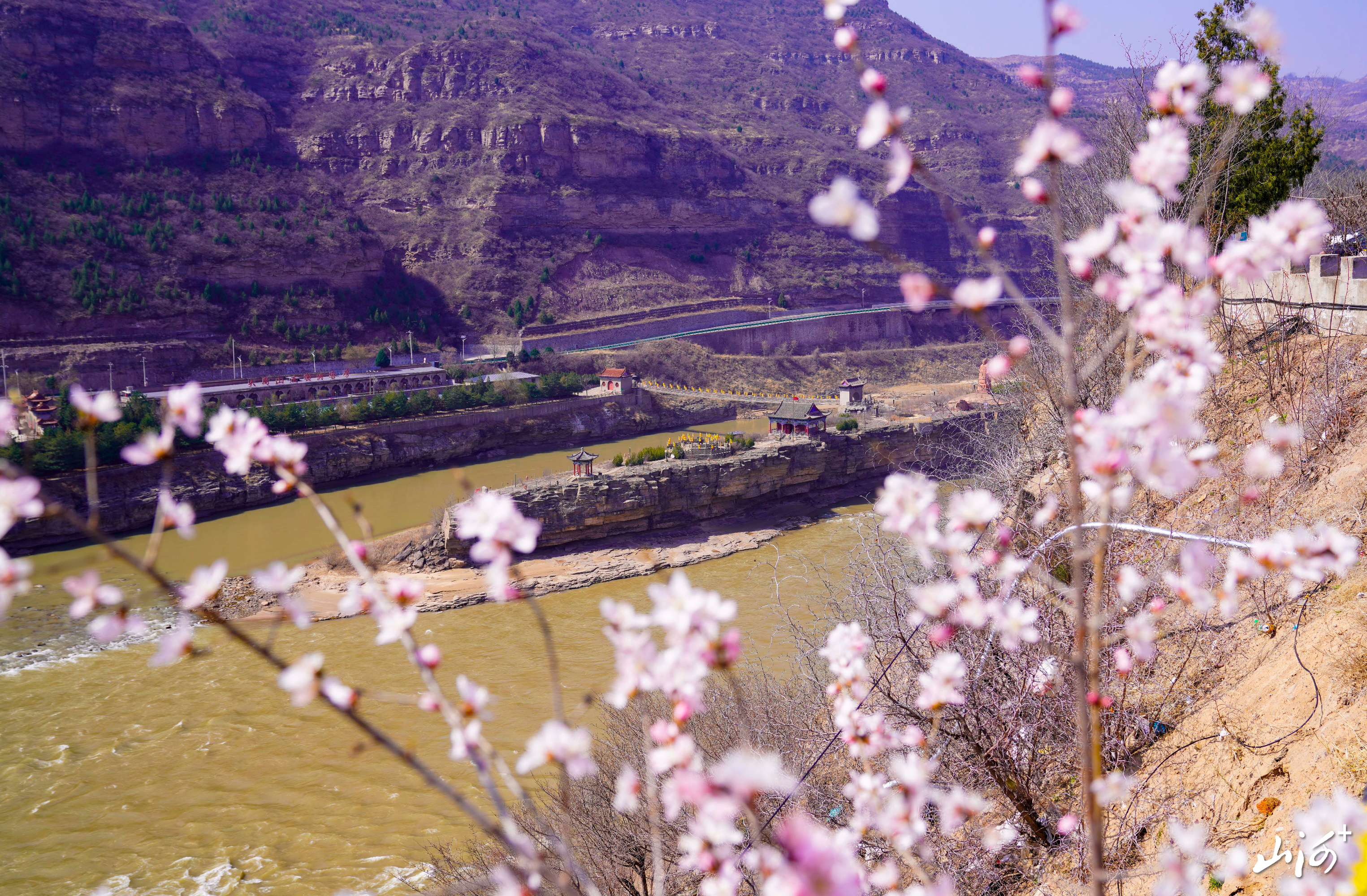 吉县壶口瀑布迎来“桃花汛”4