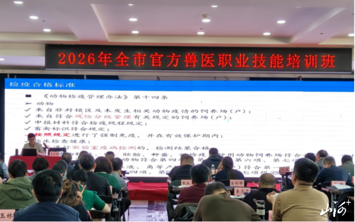 1773441580941011695.png 1773441580941011695.png