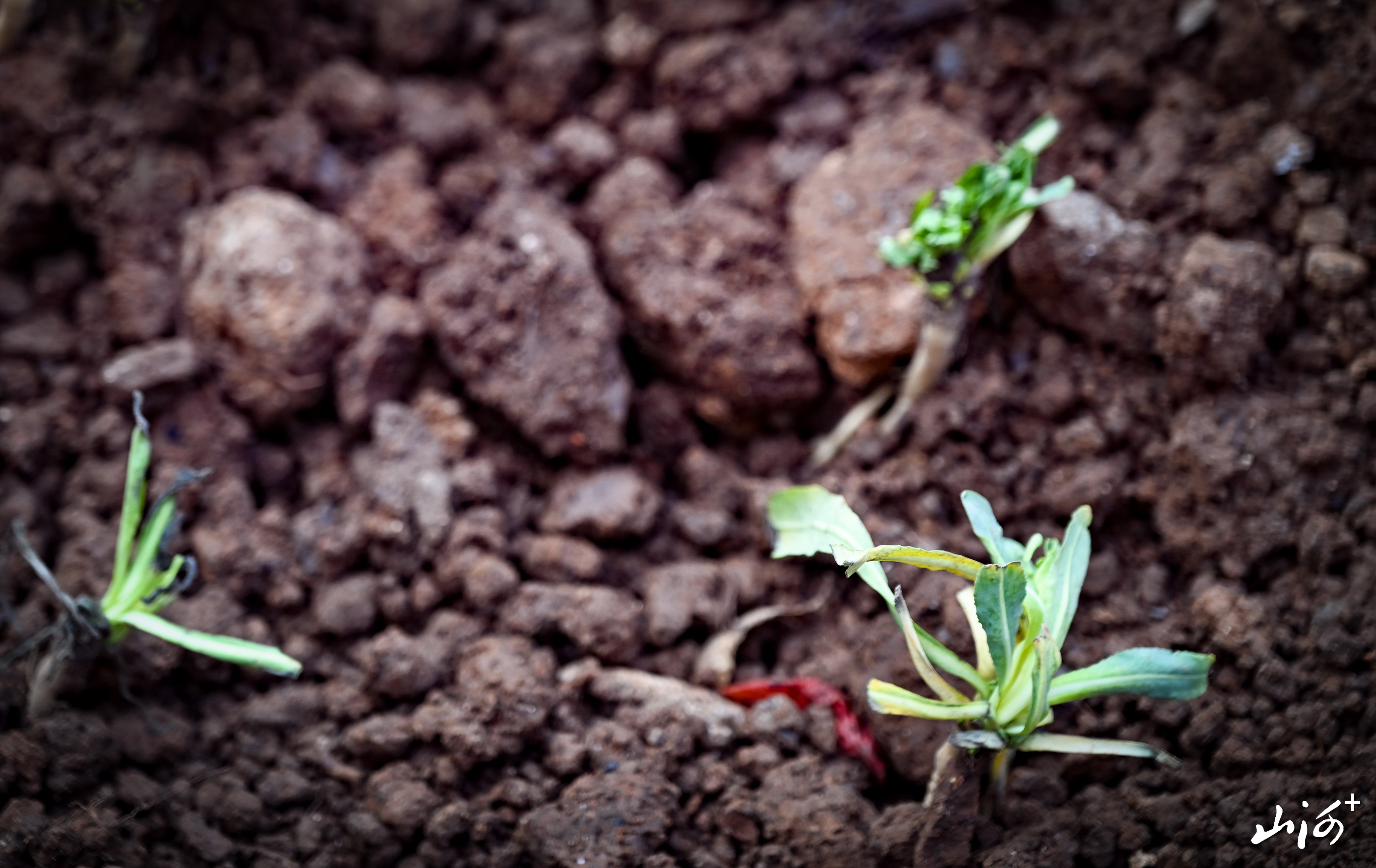 微信图片_20260312103828_1858_137