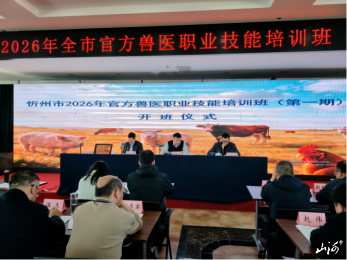 1773441579860075346.png 1773441579860075346.png