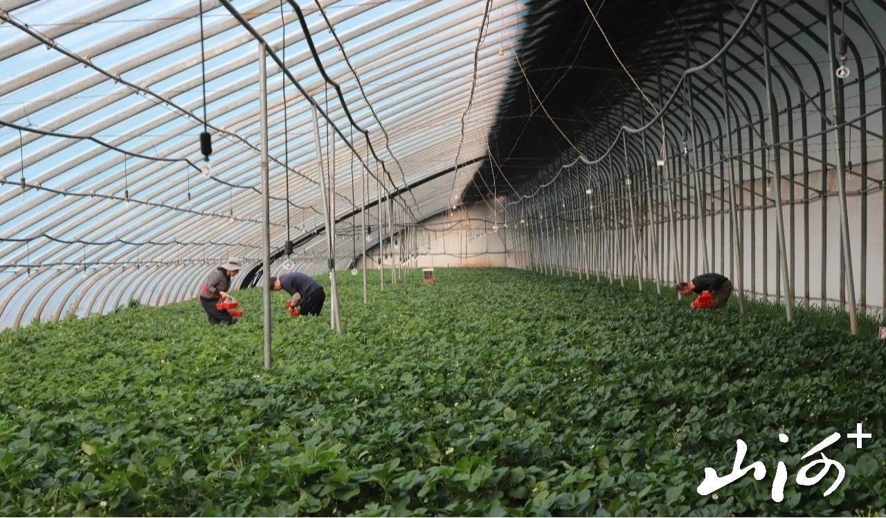 微信图片_20260315170441_560_102 微信图片_20260315170441_560_102