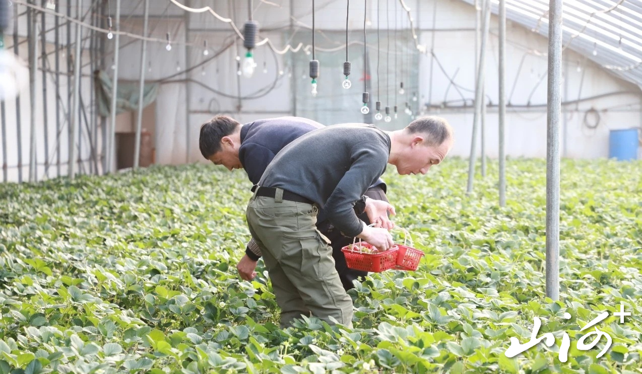 微信图片_20260315170443_562_102 微信图片_20260315170443_562_102