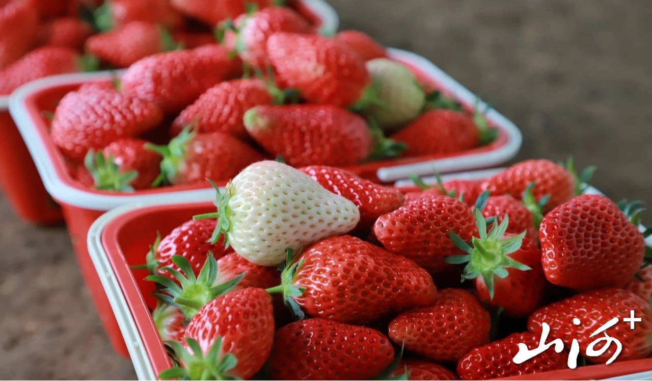 微信图片_20260315170442_561_102 微信图片_20260315170442_561_102