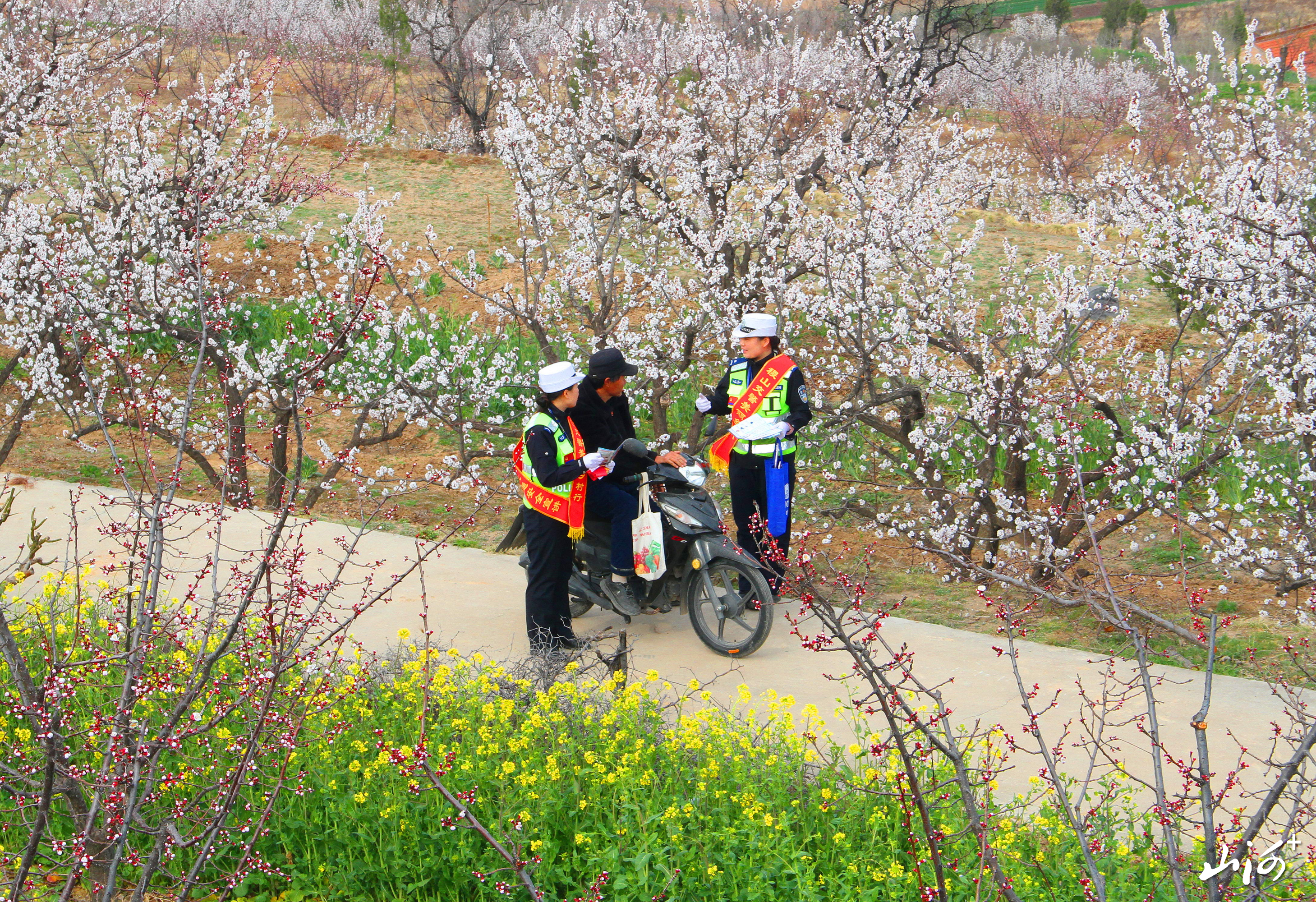 微信图片_20260319083622_25_1670