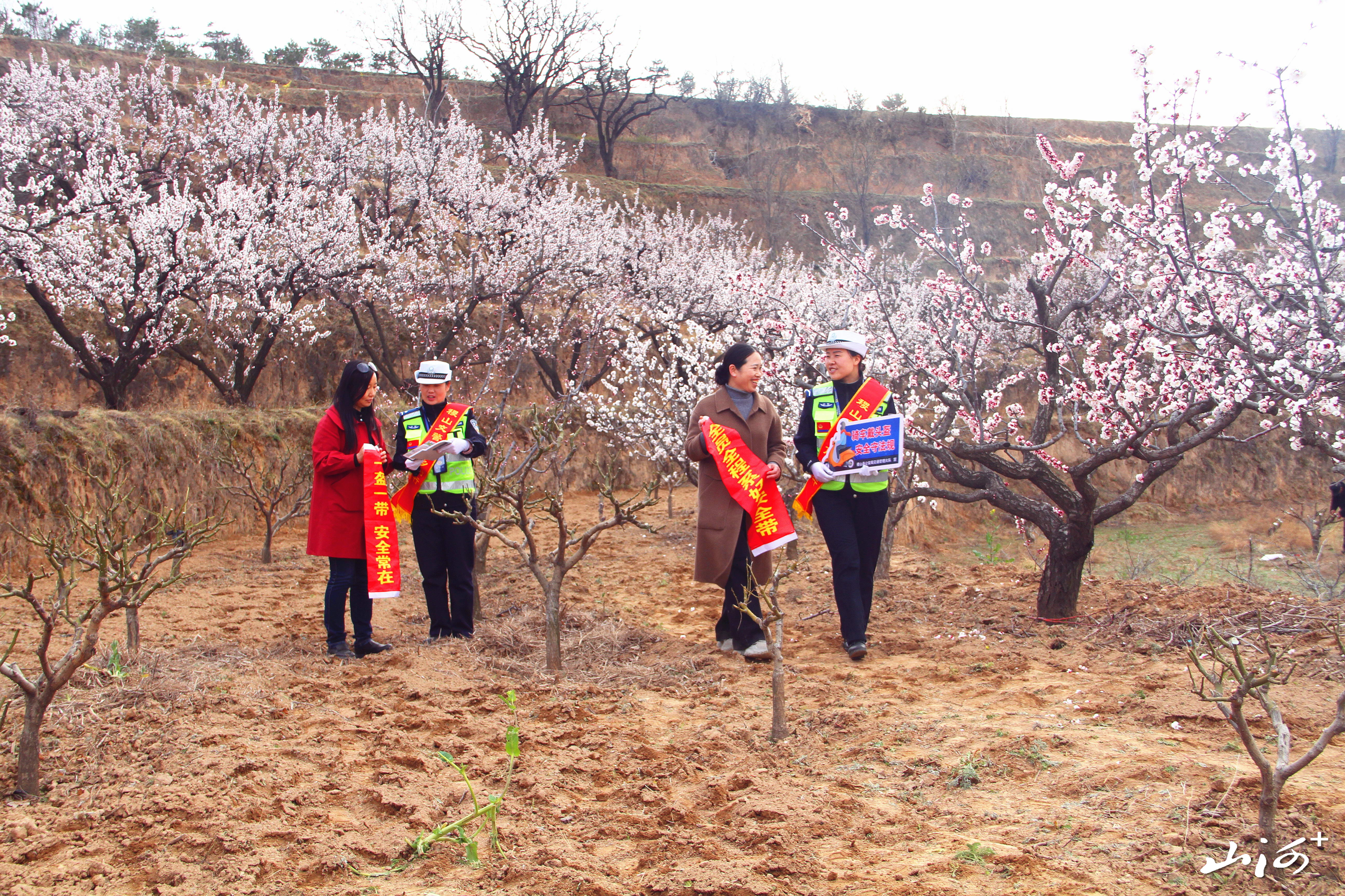 微信图片_20260319083620_24_1670