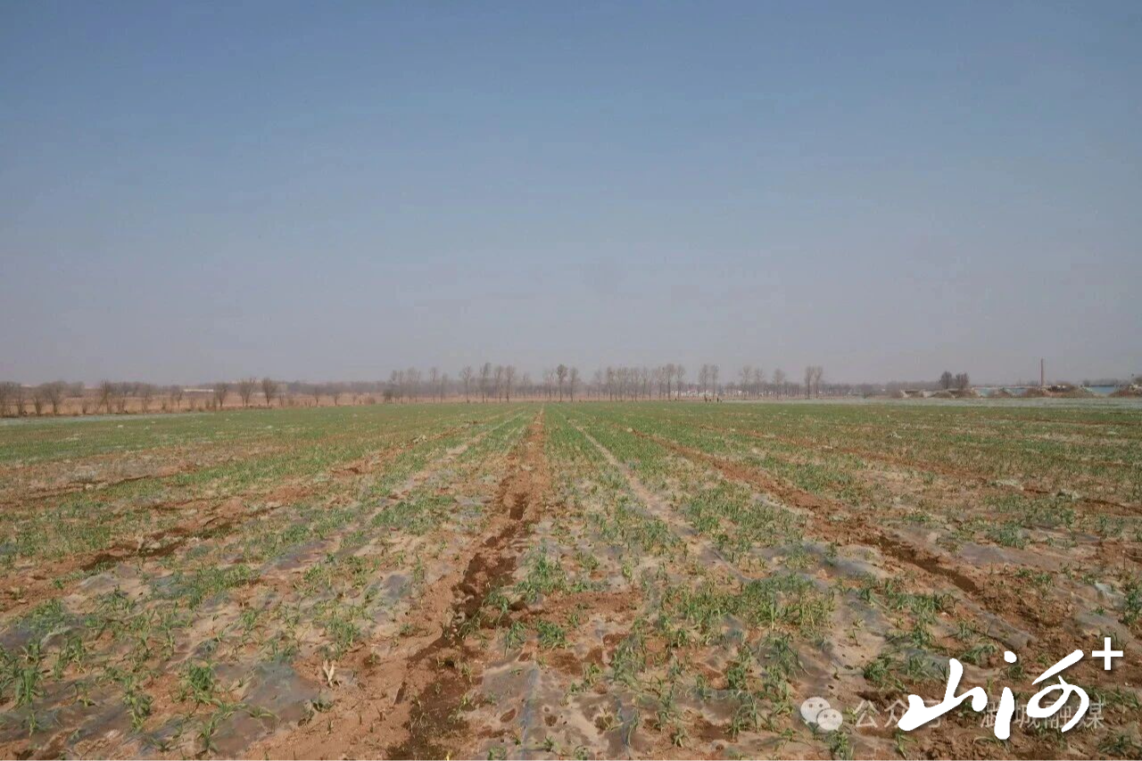 微信图片_2026-03-23_160824_387